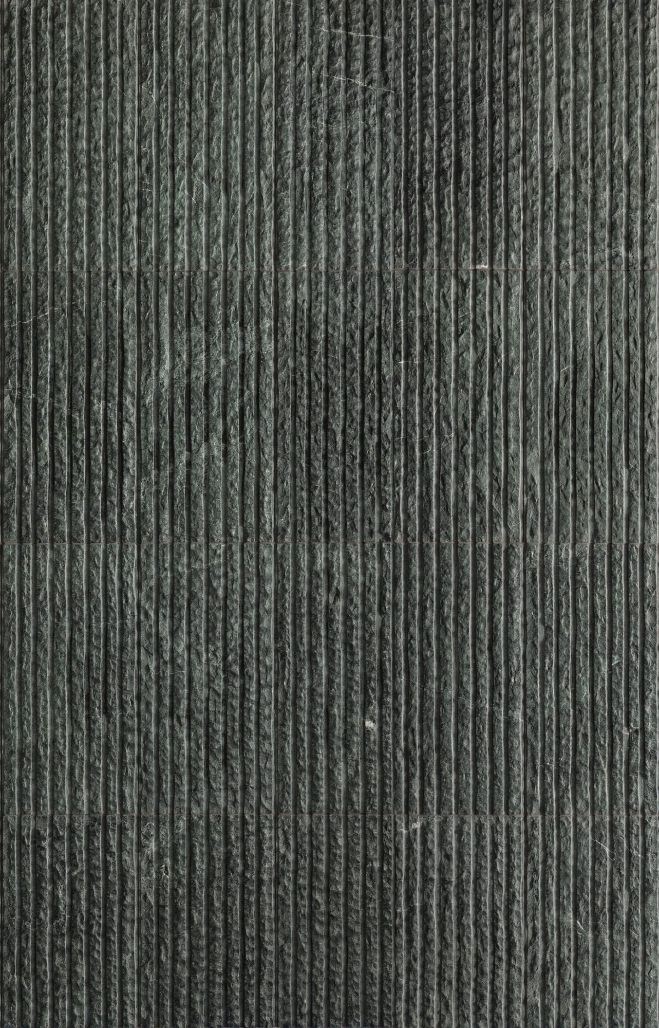 T-279219-RAVIN-EVGR-FT-12X24-TXT-room01