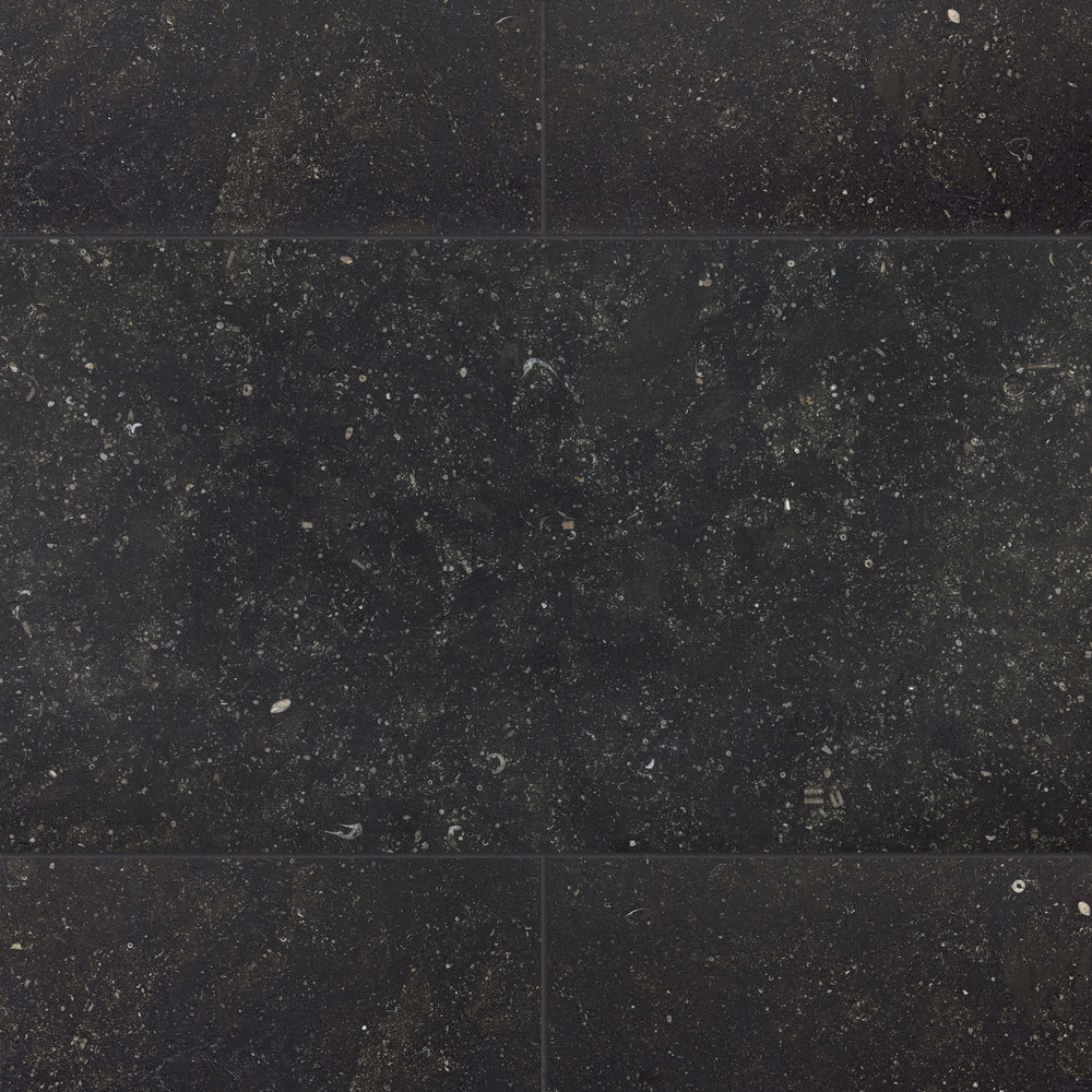 T-279219-BLKLS-BBLST-FT-12X24-HNDAE