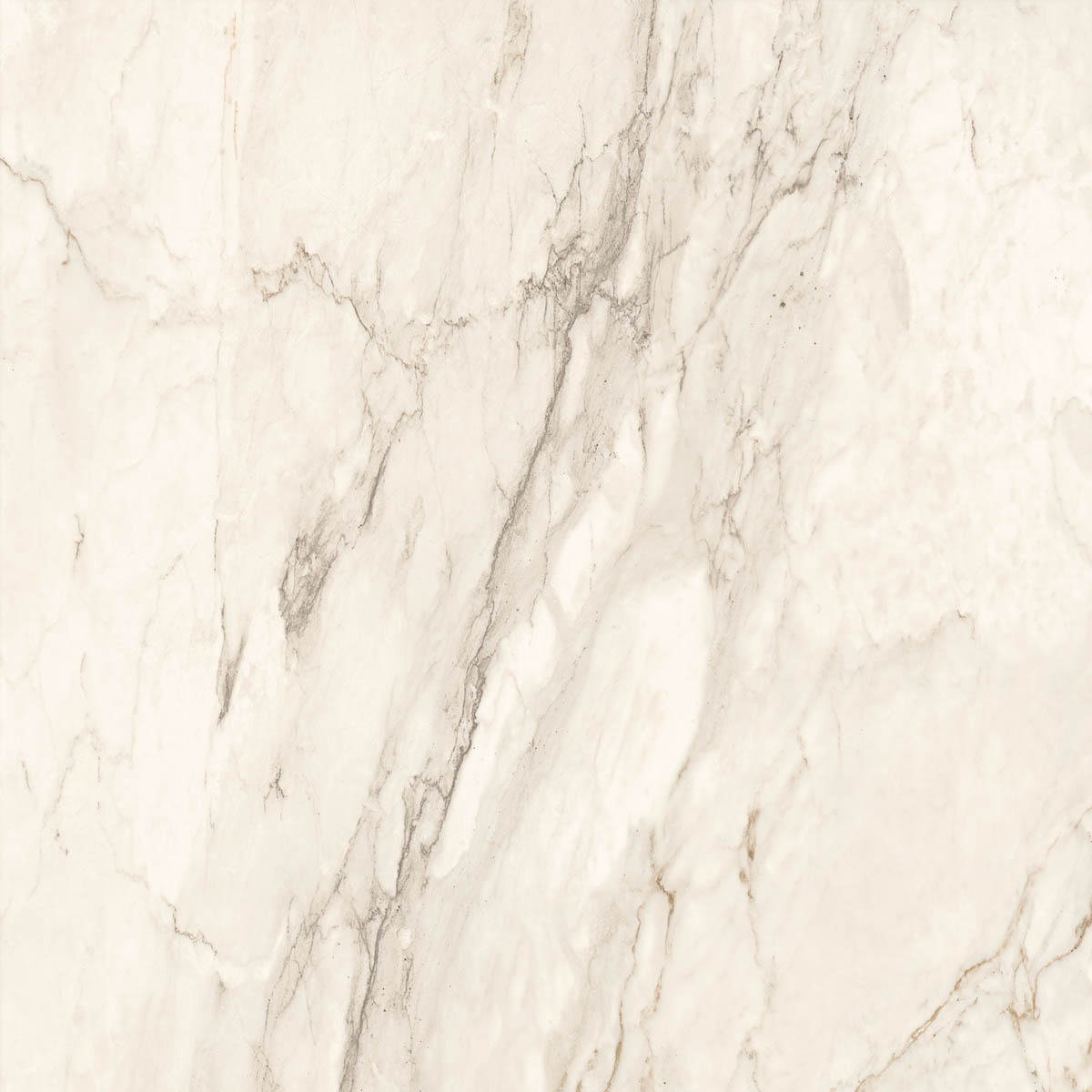 Blossom by The Room - T-2696-ROOM-CRMD-FT-24X24-M