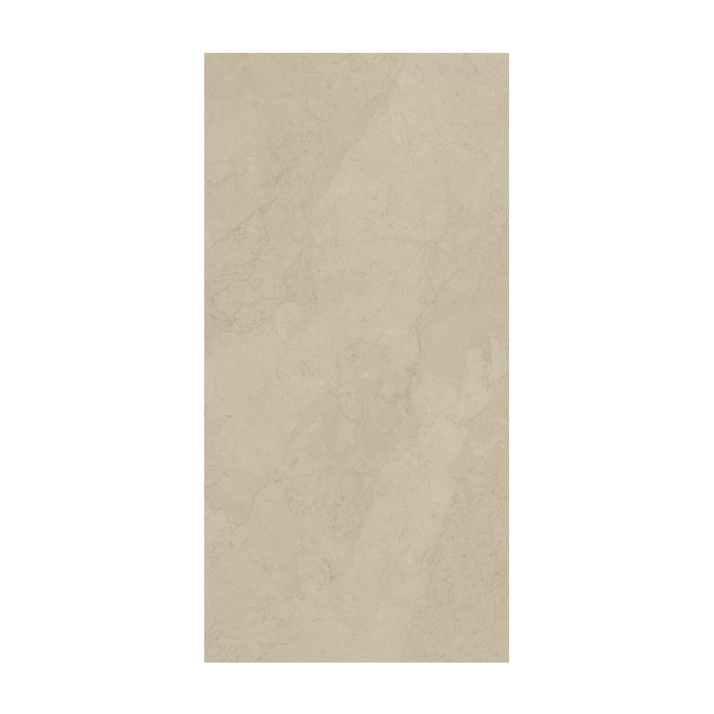 Contemporary - T-267223-CTNP-MDBE-FT-24X48-SOFT