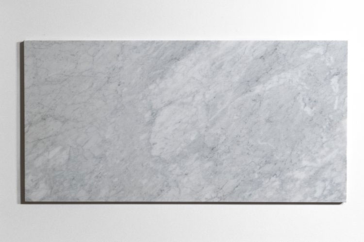 Venatino Carrara - T-2838-X-VCR-FT-12X24-BEVPOL