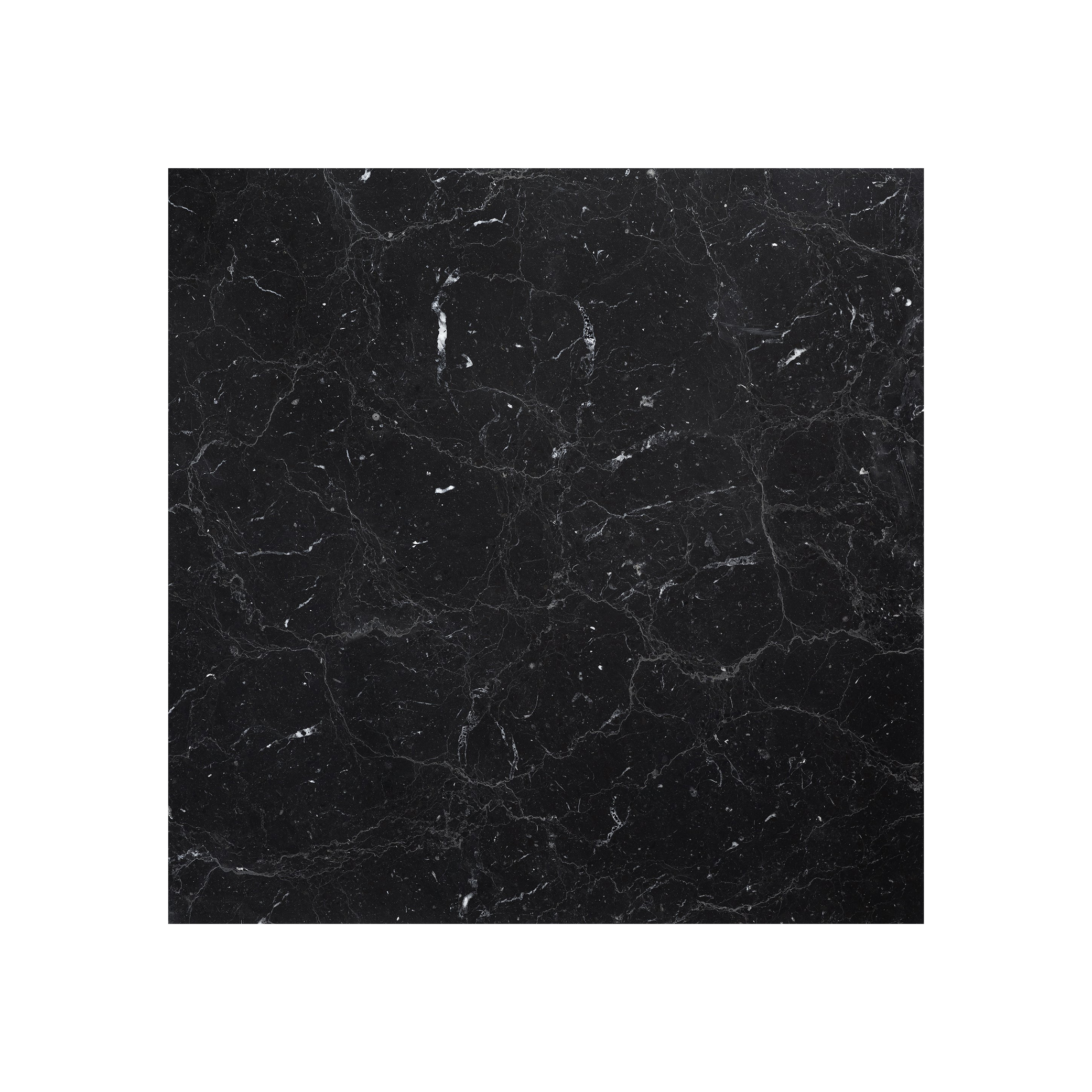 Noir Moon - T-279219-BMC-NRM-FT-18X18-POLAE