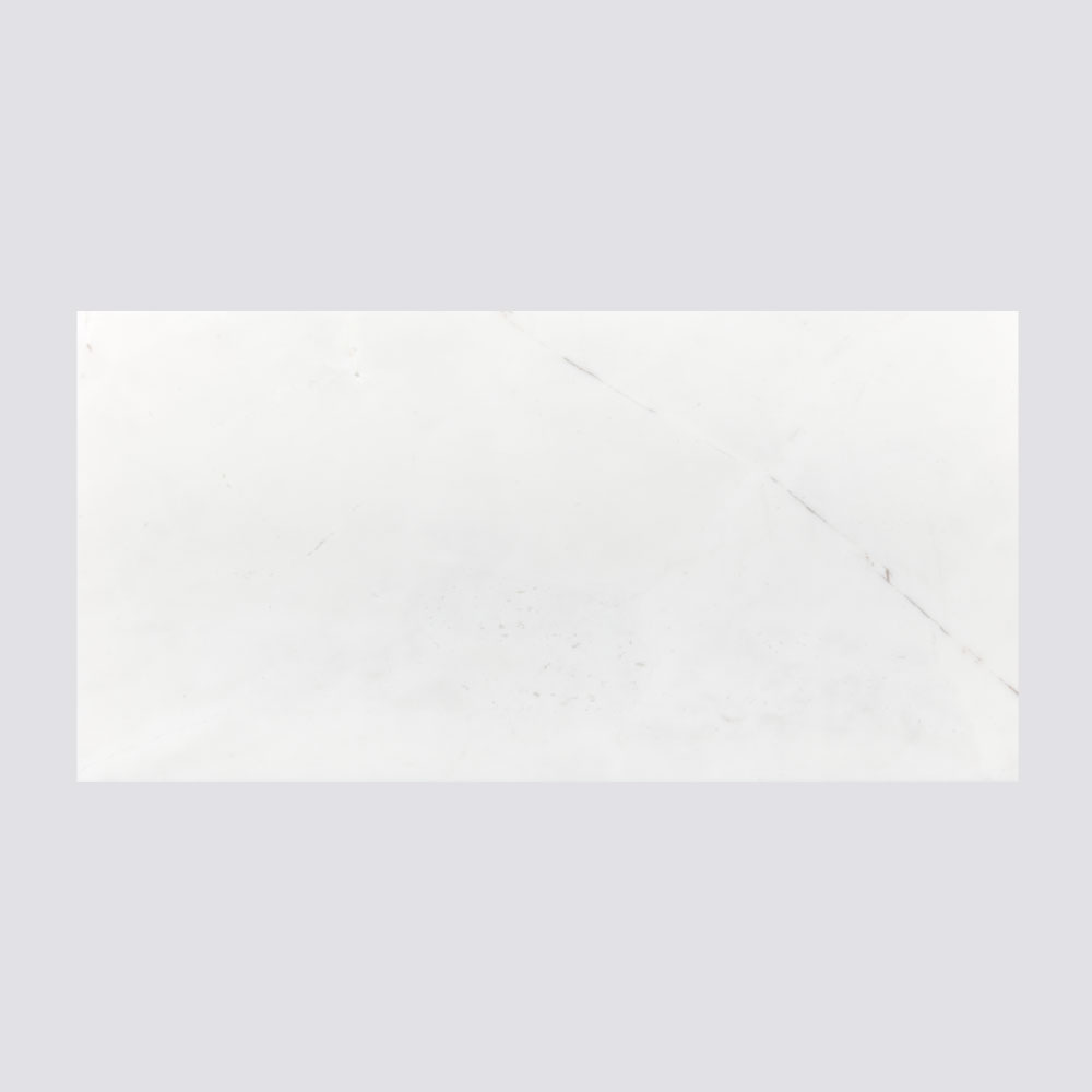 T-279219-WHM-BDEX-FT-12X24XTE-VCPOLAE-02
