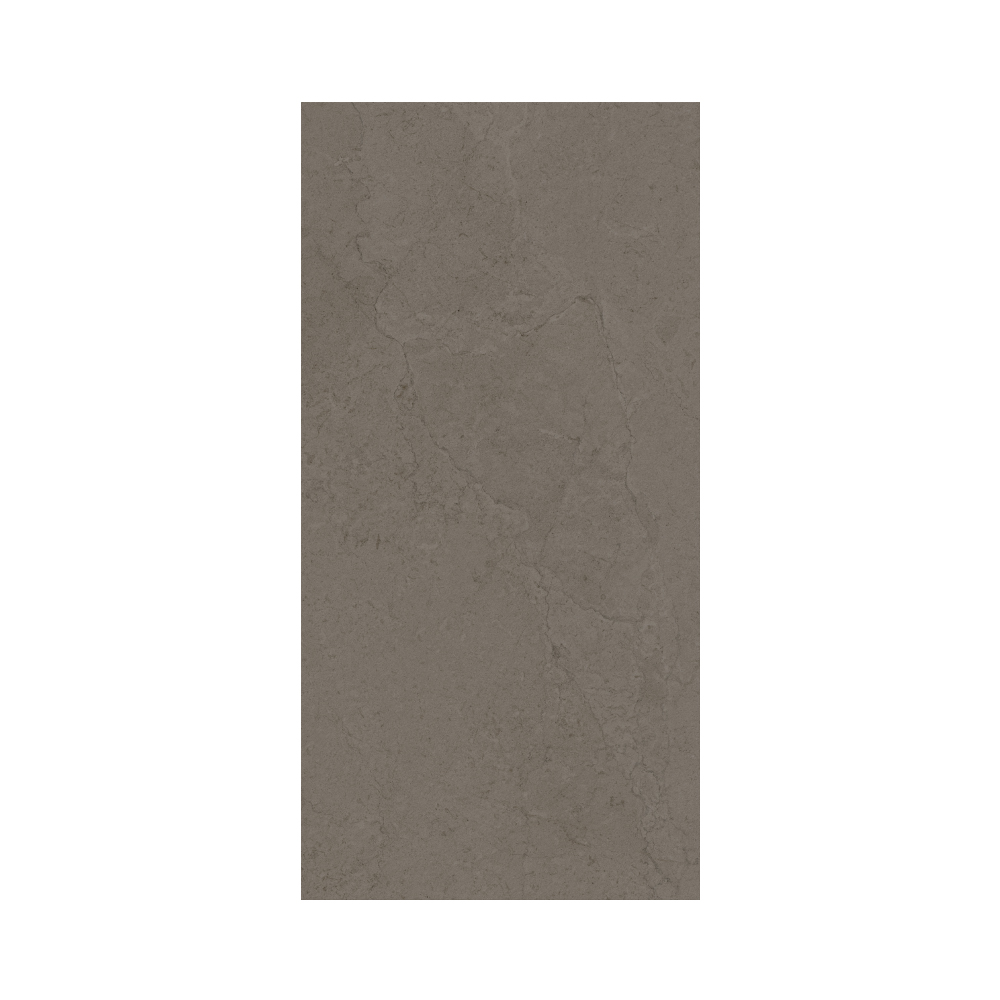 Contemporary - T-267223-CTNP-VDG-FT-12X24-SOFT