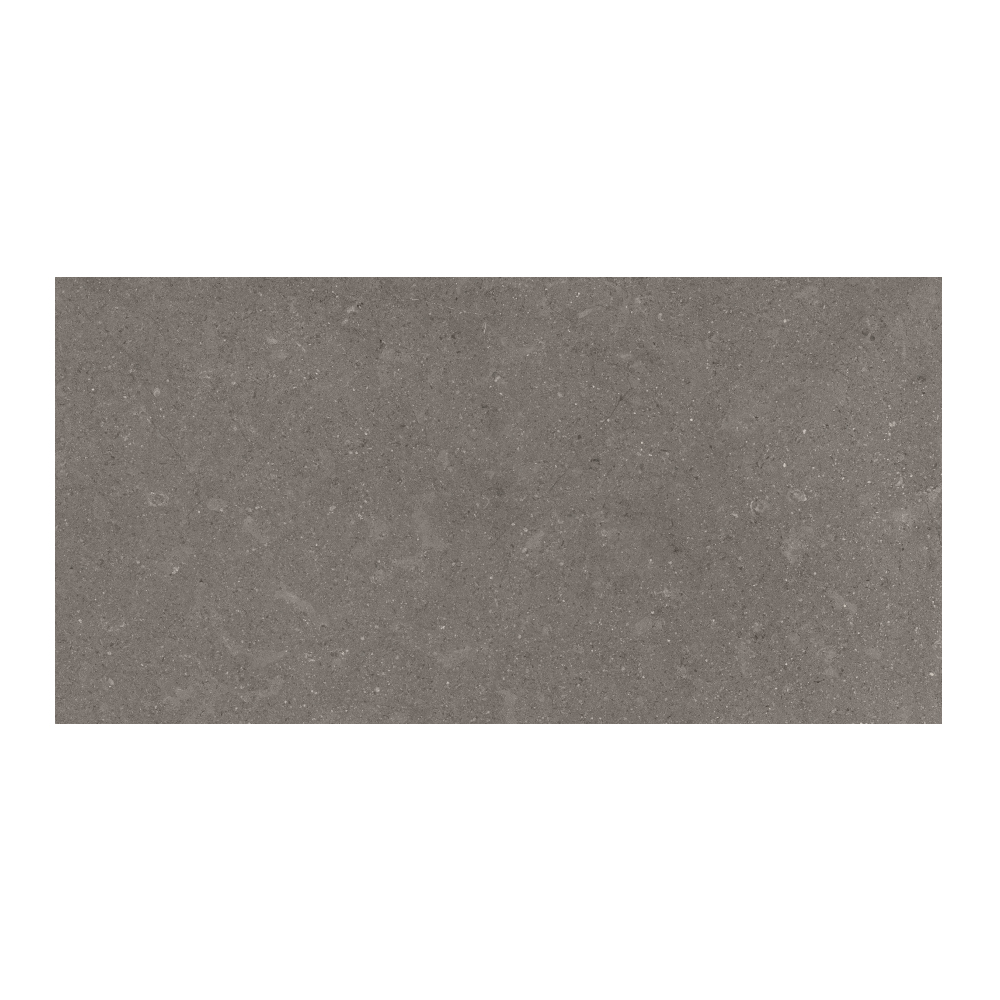 T-196252-MDST-DAR-FT-12X24-MR
