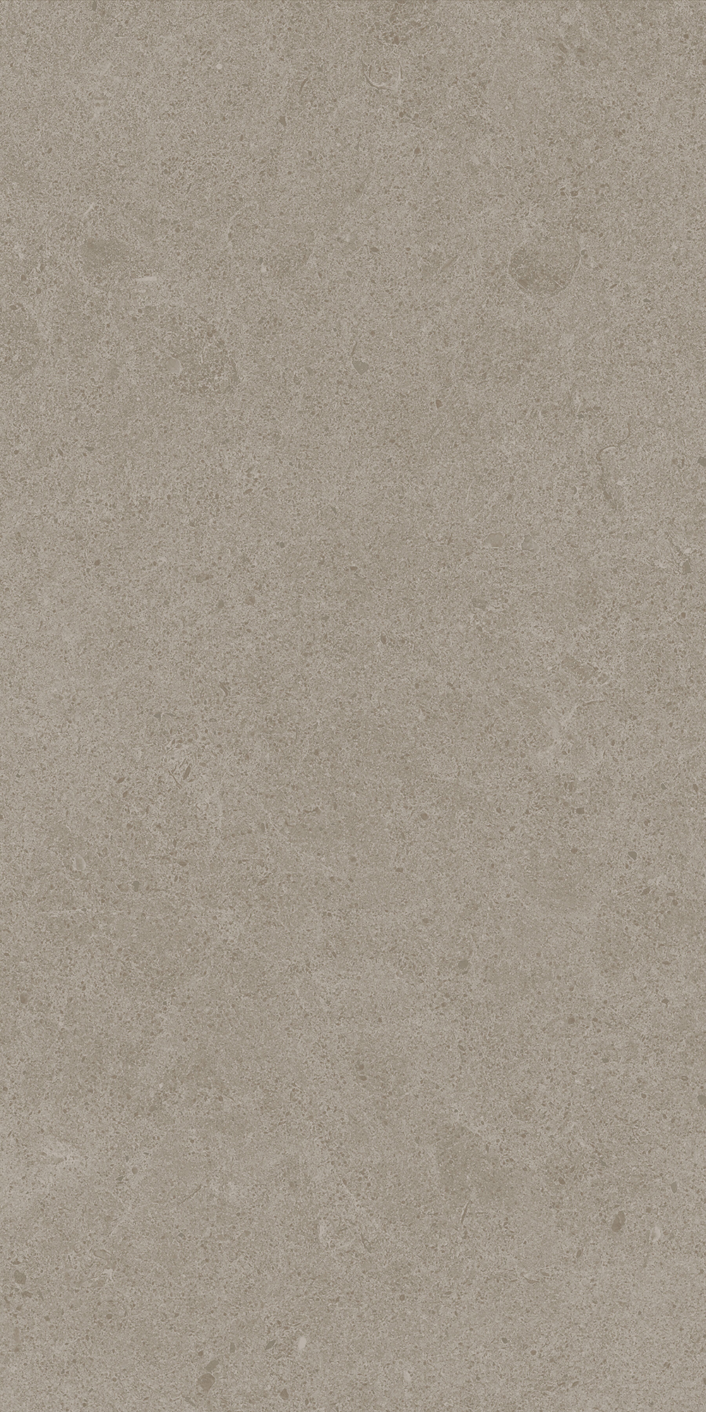 Argent 2.0 - T-2922-ARG2-ARG34-FT-12X24-UPS