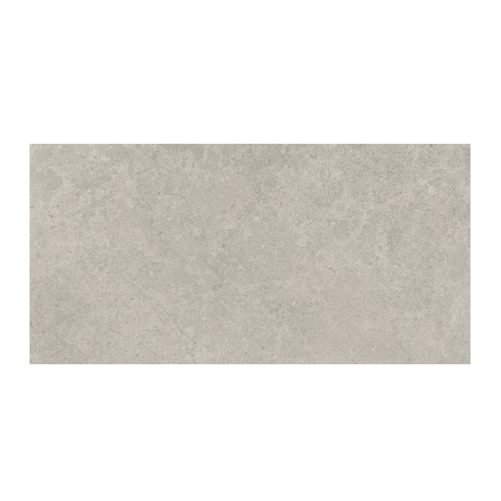 T-196252-MDST-ASH-FT-12X24-GRR