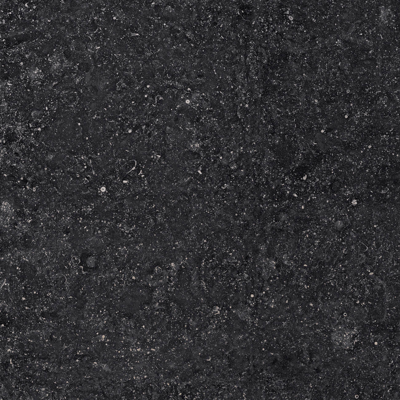 Beljn - T-2922-BJN-BJN05-FT-12X24-UPS