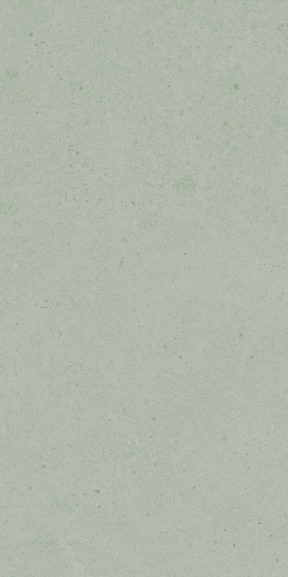 Argent 2.0 - T-2922-ARG2-ARG32-FT-6X24-UPS