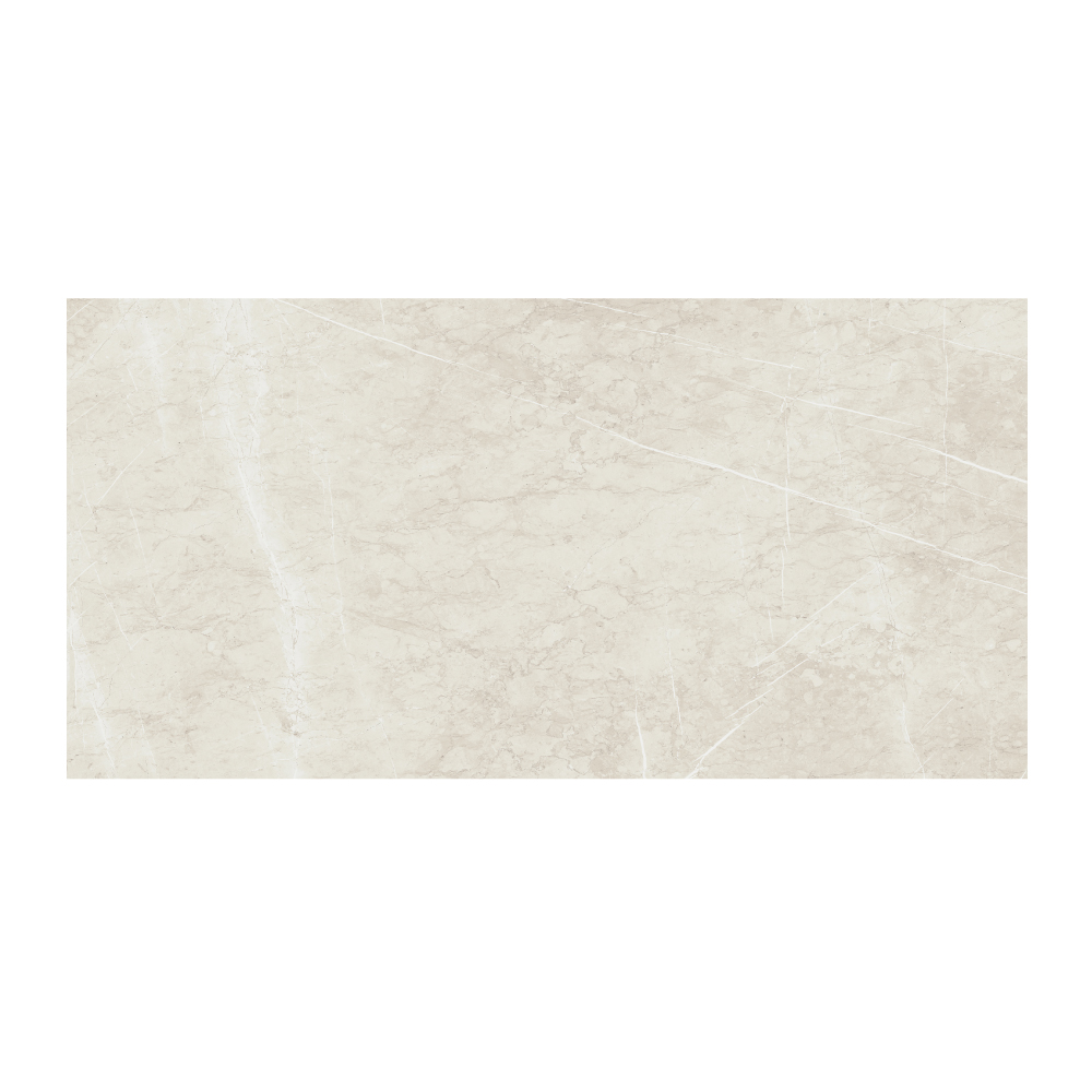 Champion - T-VS-CHAM-BON-FT-15X30-STN