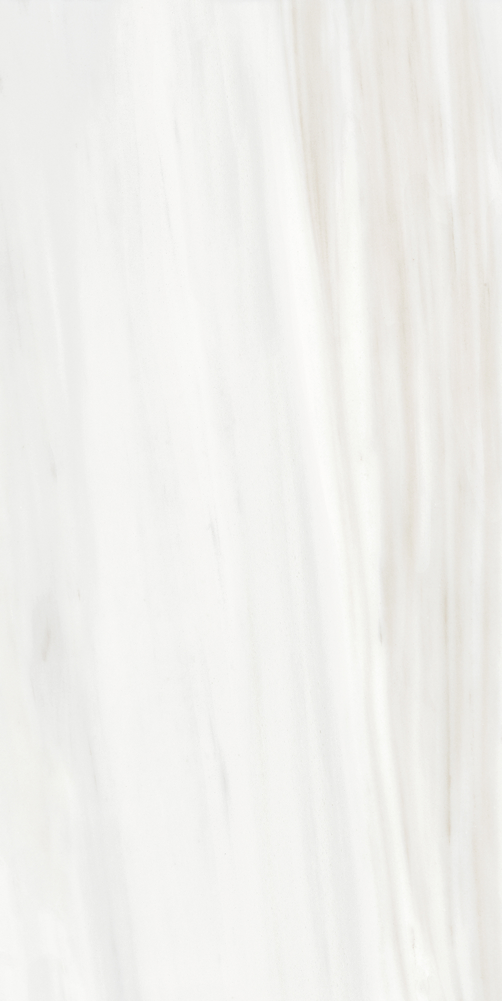 Origines De Rex - T-3806-ODR-ODR-FT-24X48-GLS10MM