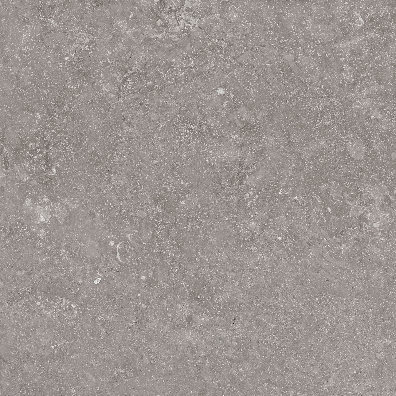 Beljn - T-2922-BJN-BJN03-FT-12X24-UPS