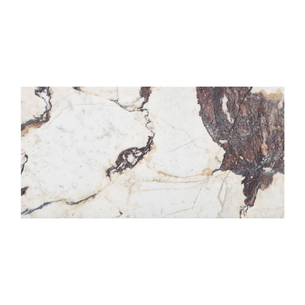 T-279219-WHM-CVIO-FT-12X24XTE-HNDAE-08