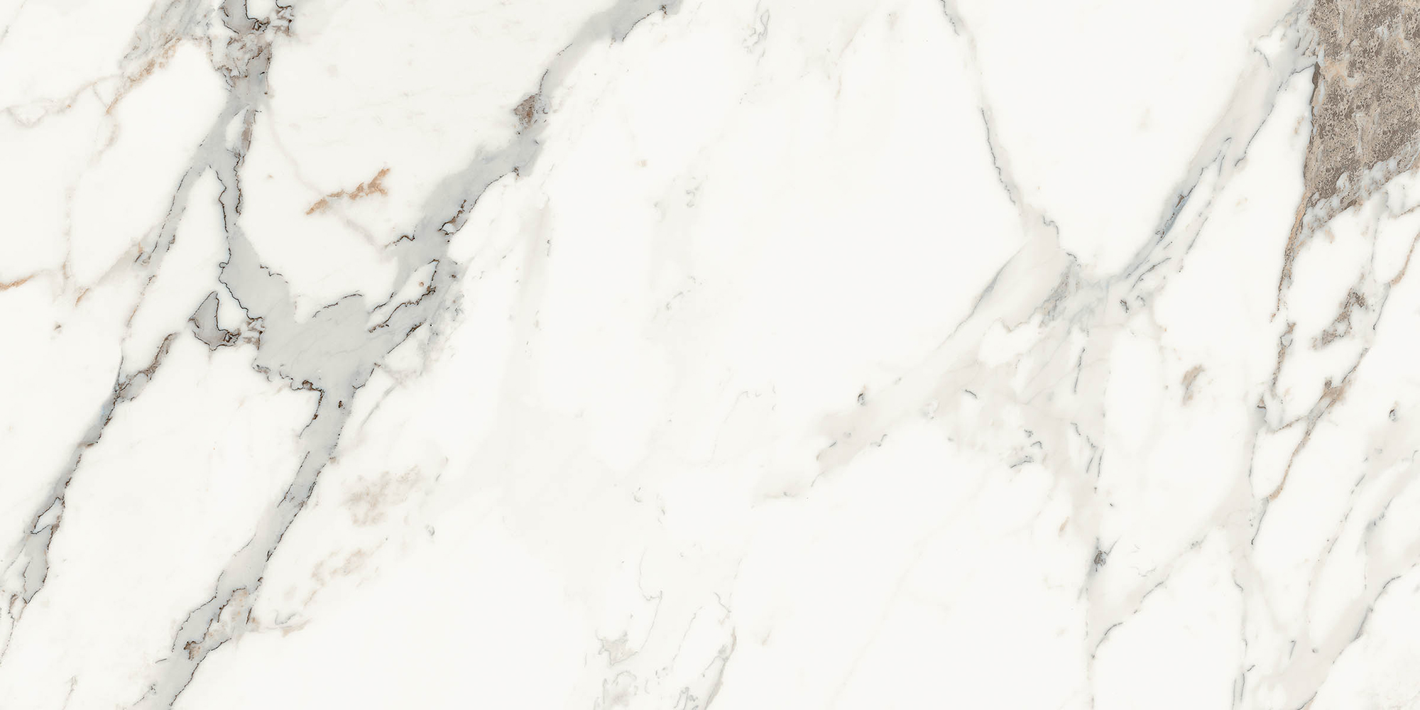 Aesthetica - T-2696-AEST-BCPR-WT-24X48-LPM