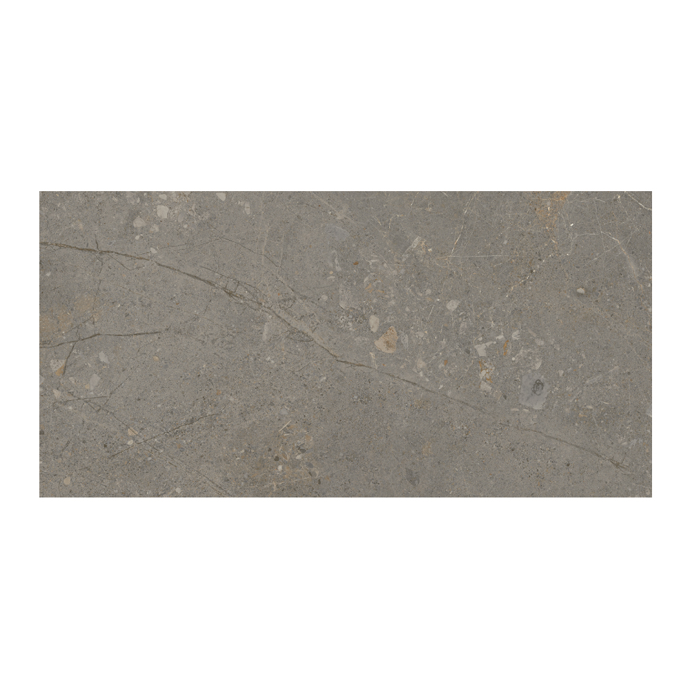 Moondance - T-267223-MNDC-DRKGY-FT-12X24-M