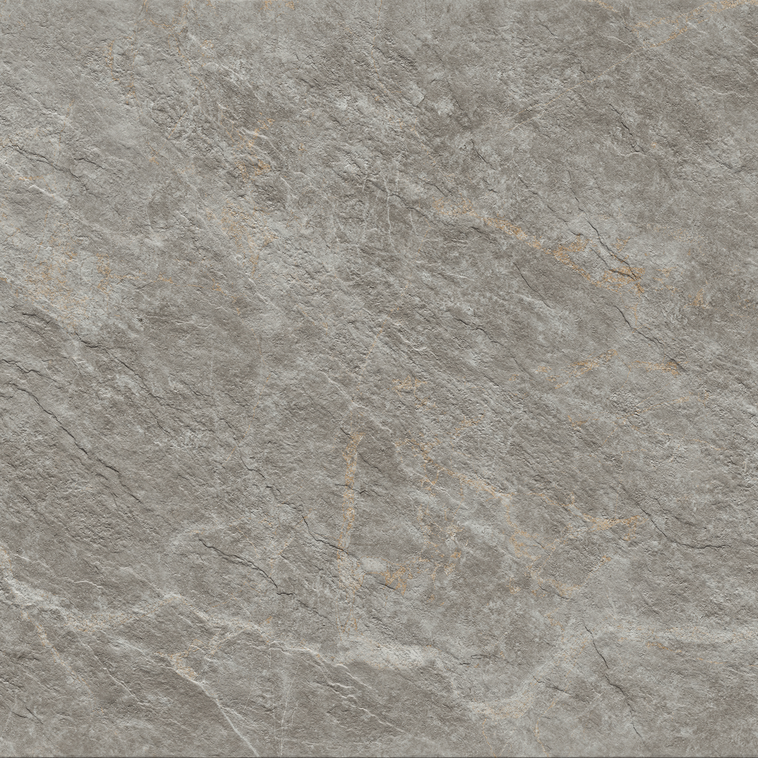 Fior Di Bosco Gray 24x24 Outdoor Porcelain Paver