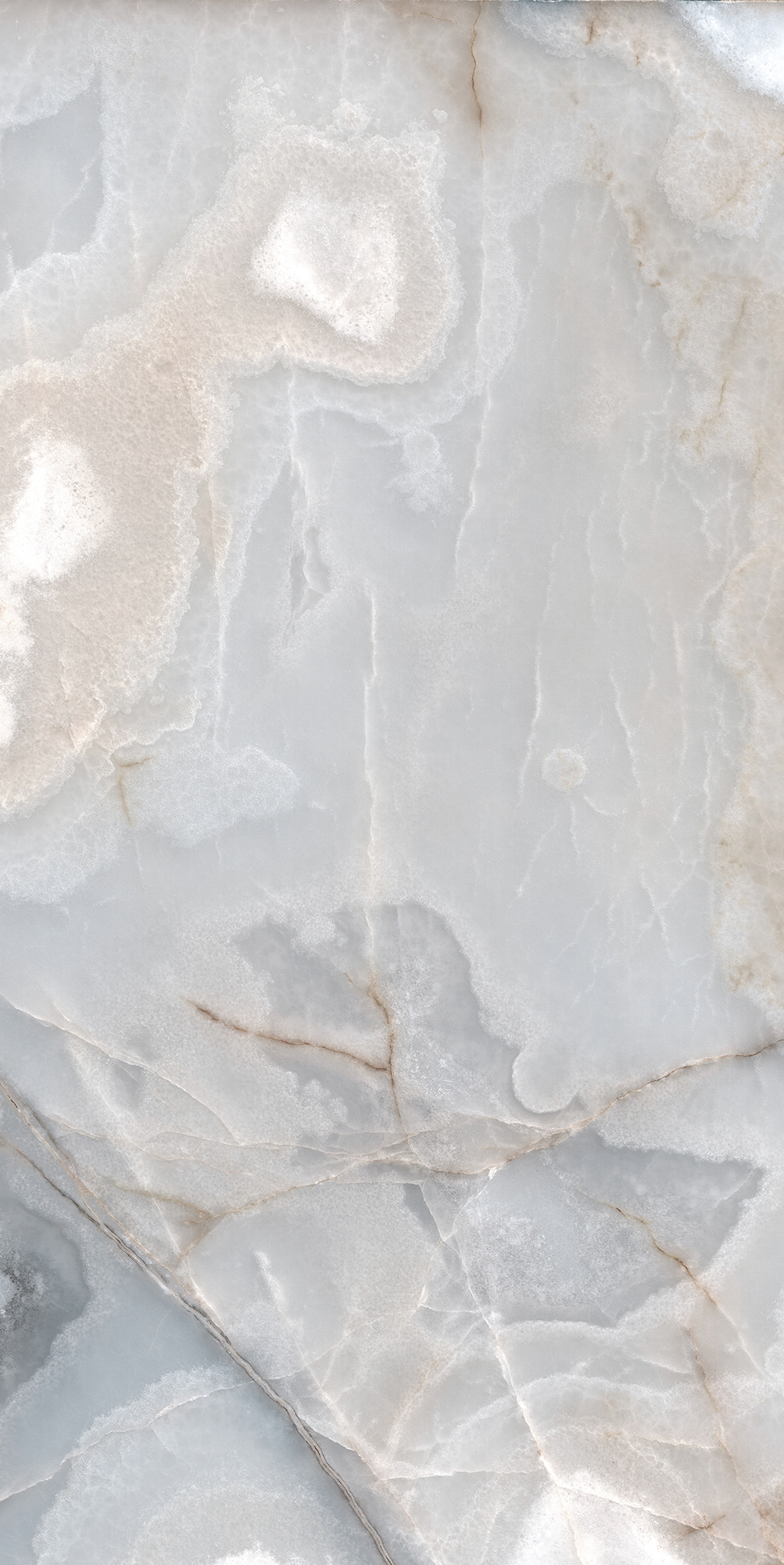 Reves De Rex - T-3806-RDR-BLEU-FT-24X48-M10MM