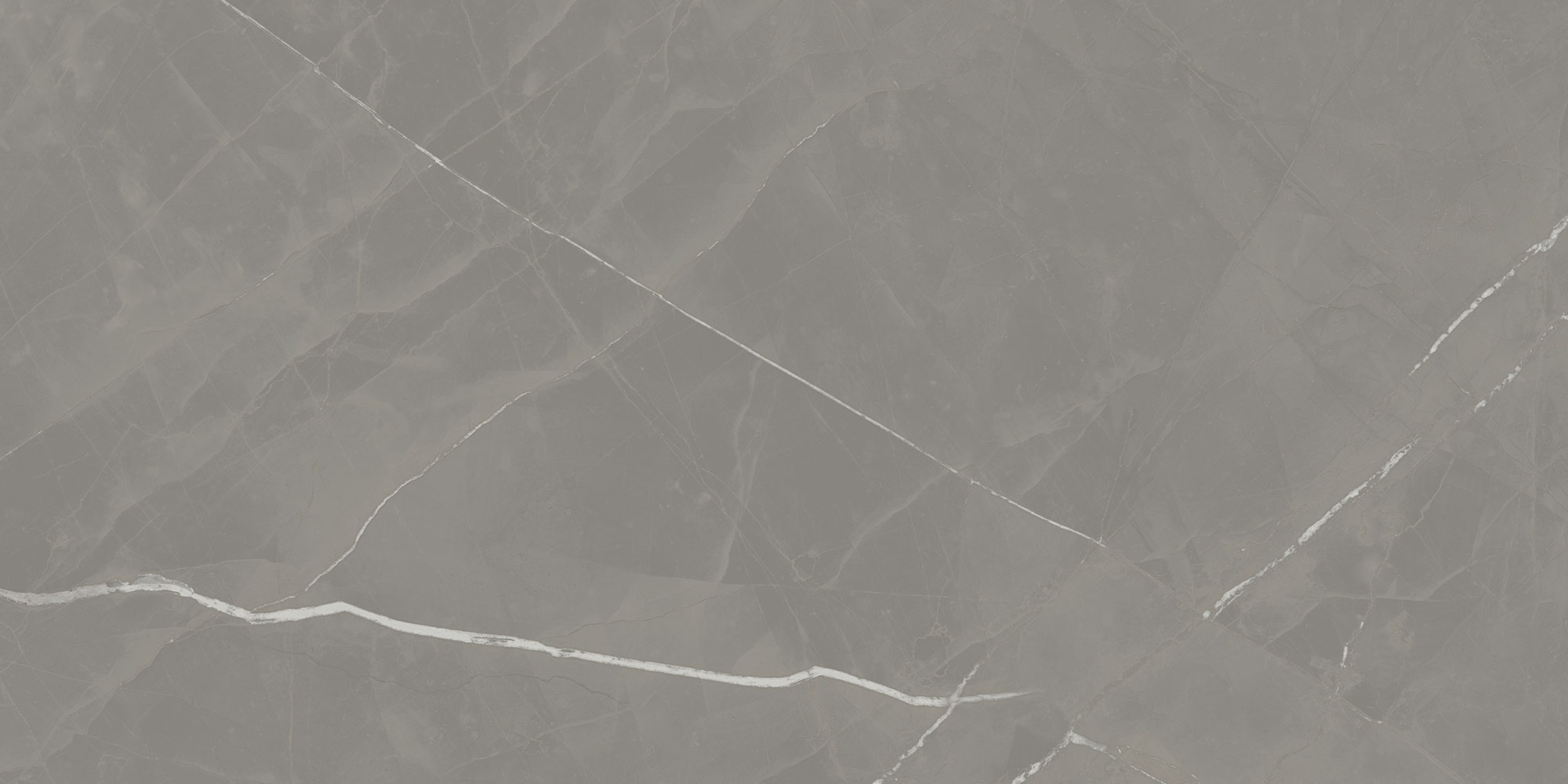 Beyond Calacatta - T-2090-BCAL-GRY-FT-12X24-M
