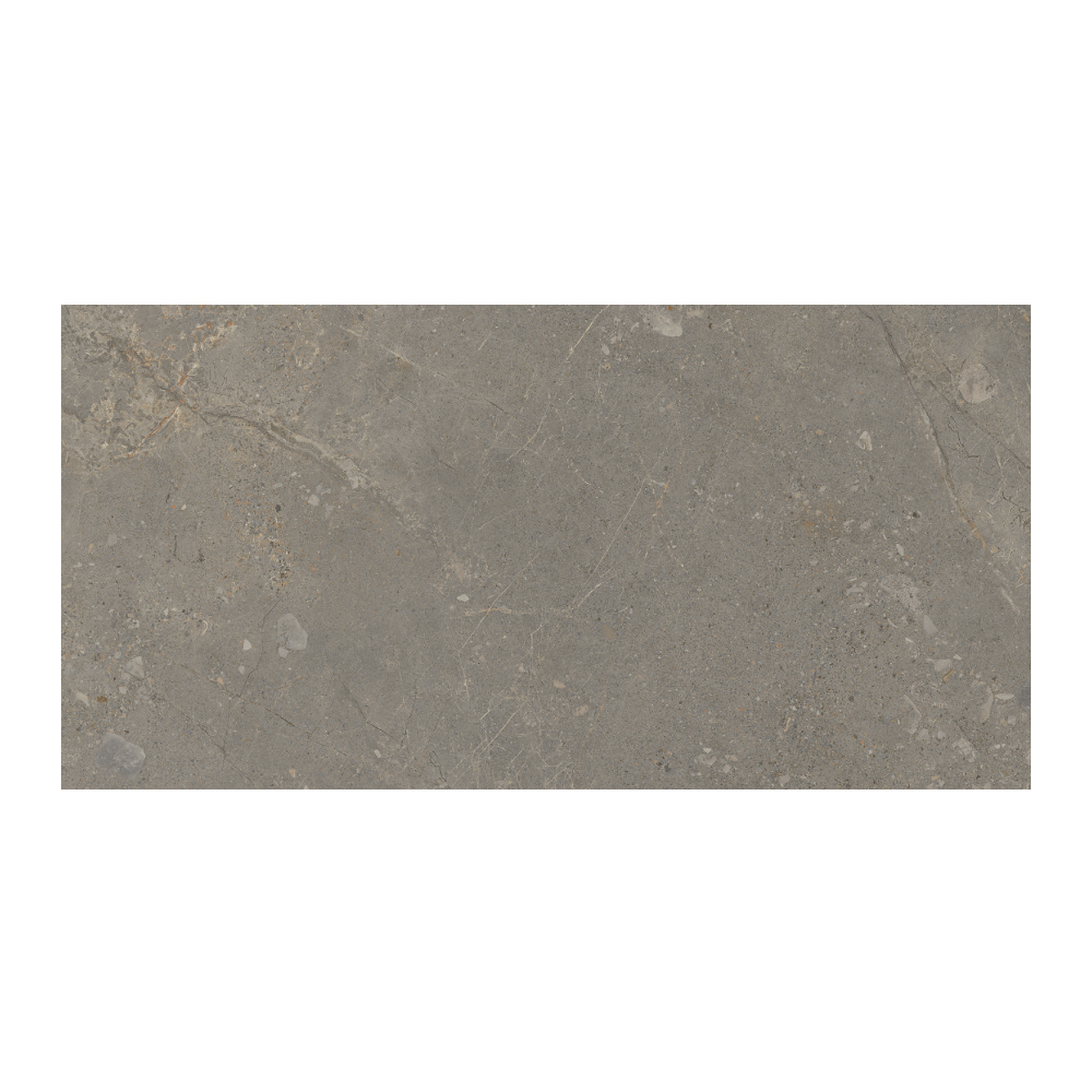 Moondance - T-267223-MNDC-DRKGY-FT-24X48-M