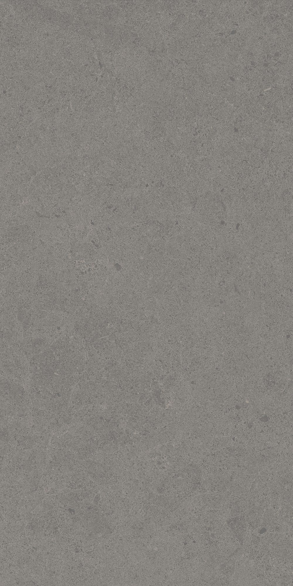 Argent 2.0 - T-2922-ARG2-ARG17-FT-12X12-UPS