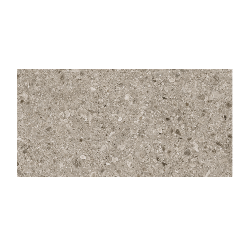 T-267223-TRZO-TORT-FT-24X48-NAT-01