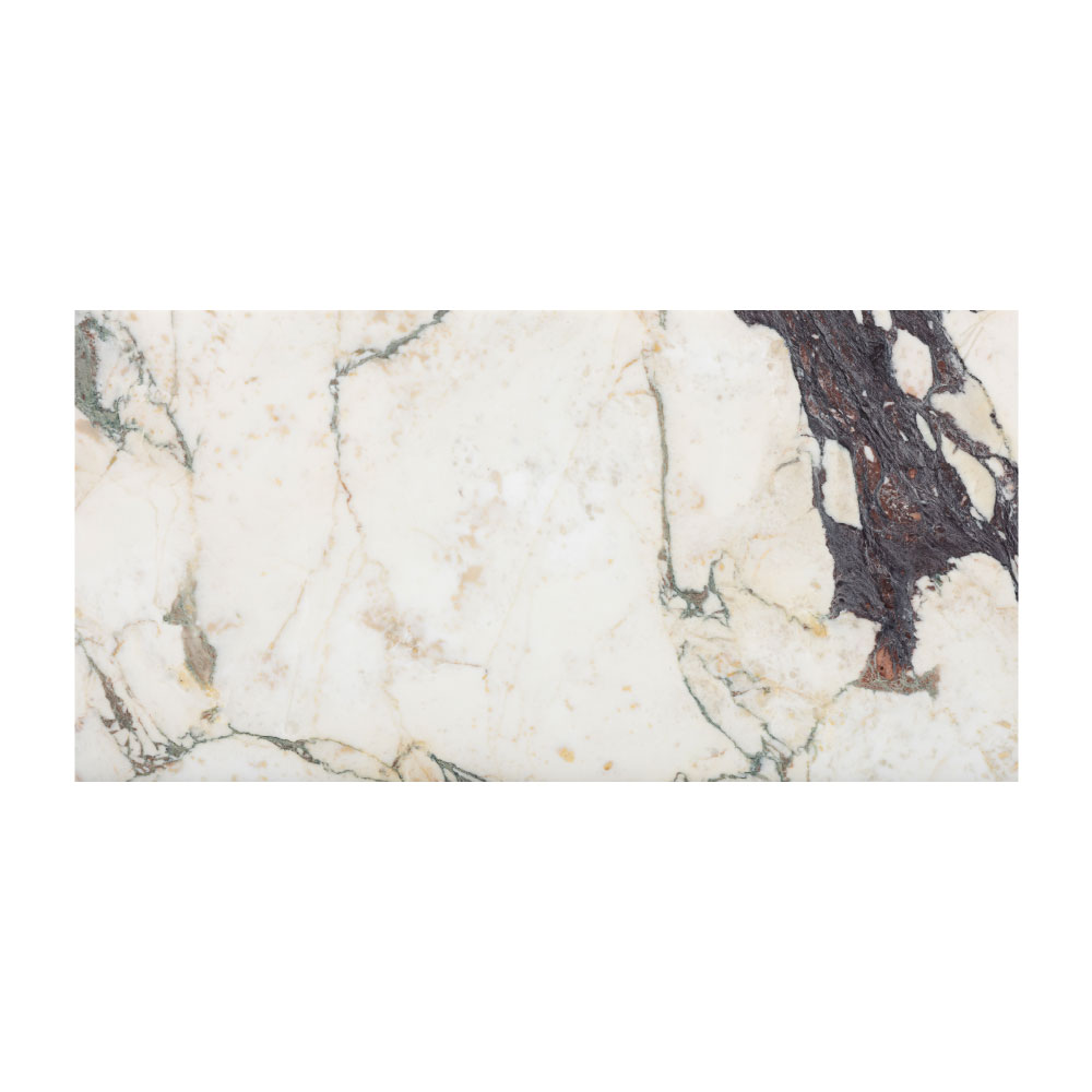 T-279219-WHM-CVIO-FT-12X24XTE-HNDAE-04