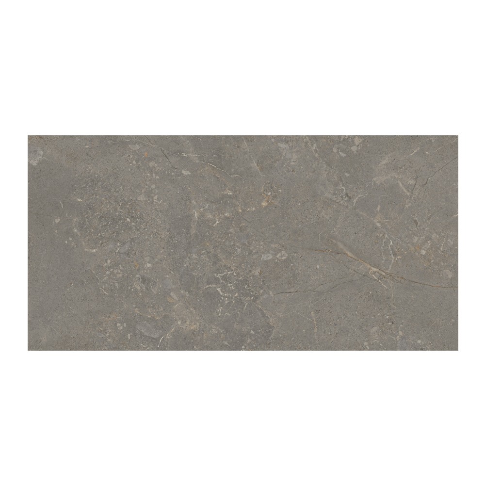 Moondance - T-267223-MNDC-DRKGY-FT-24X48-M