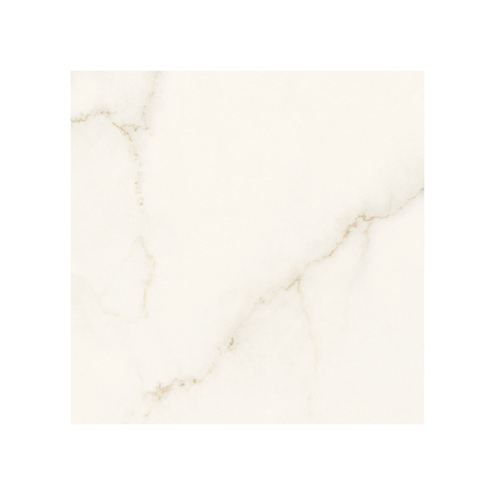 Marvel X - T-2067-MARVX-CAAP-FT-24X24-M