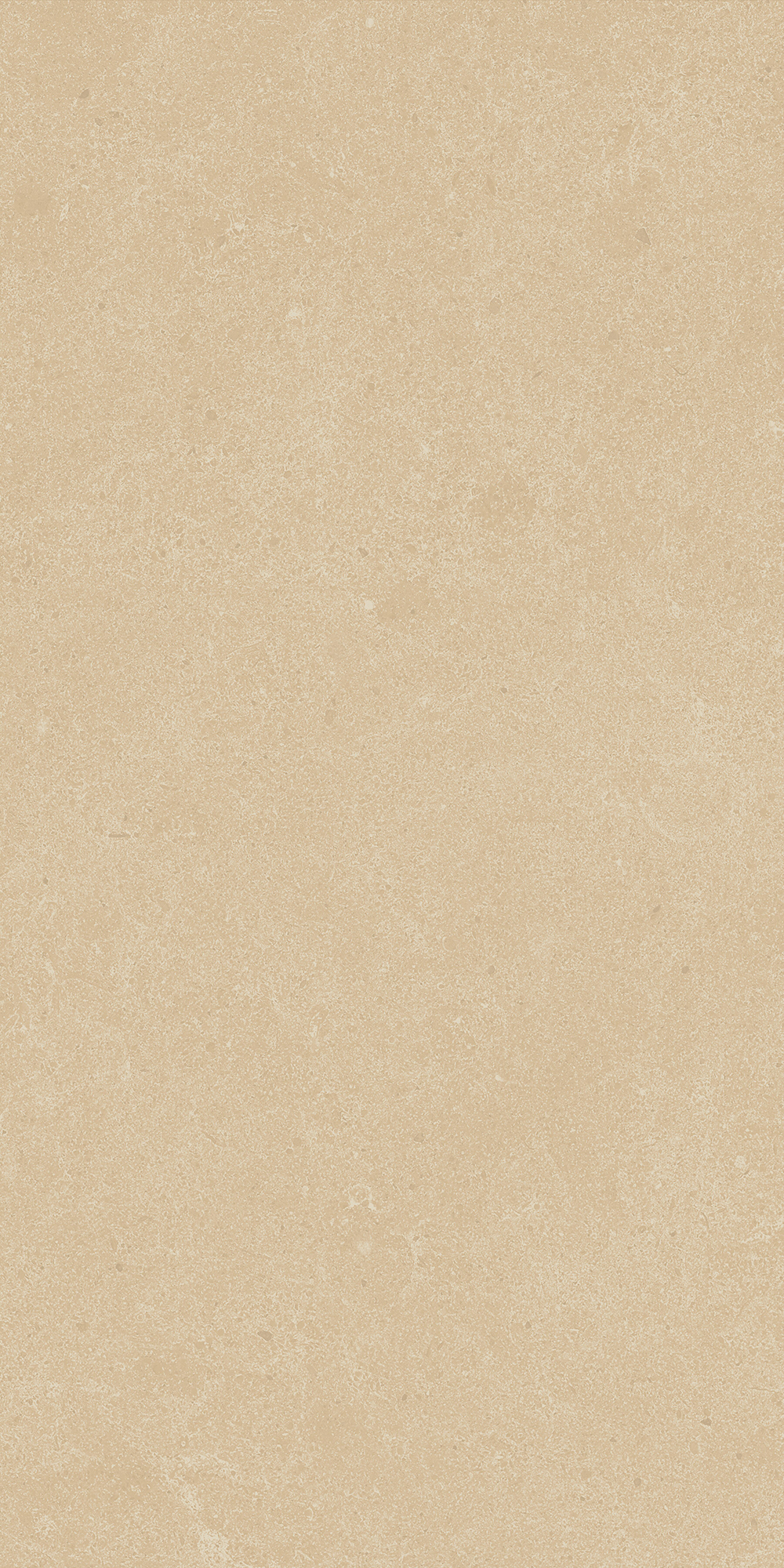 Argent 2.0 - T-2922-ARG2-ARG01-FT-6X24-UPS