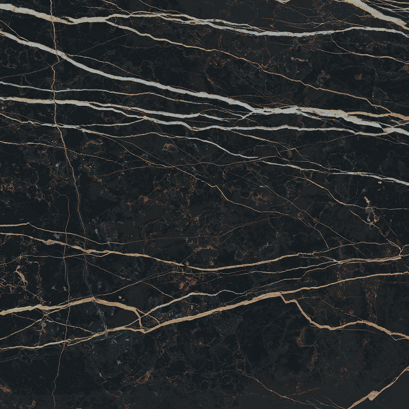 Prexious De Rex - T-3806-PREX-THNT-FT-24X24-GLS