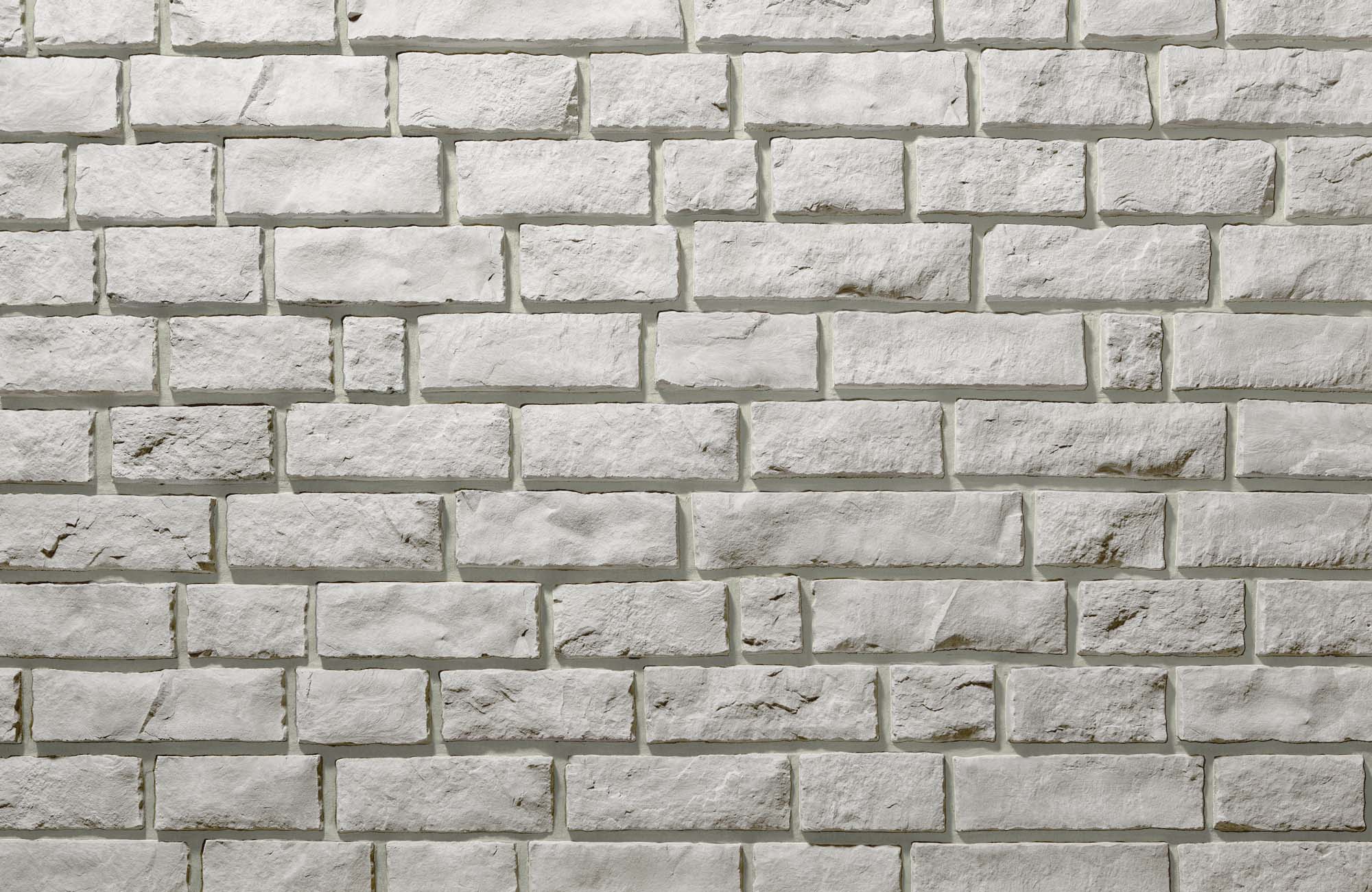 Product image for Edge Cut Polar