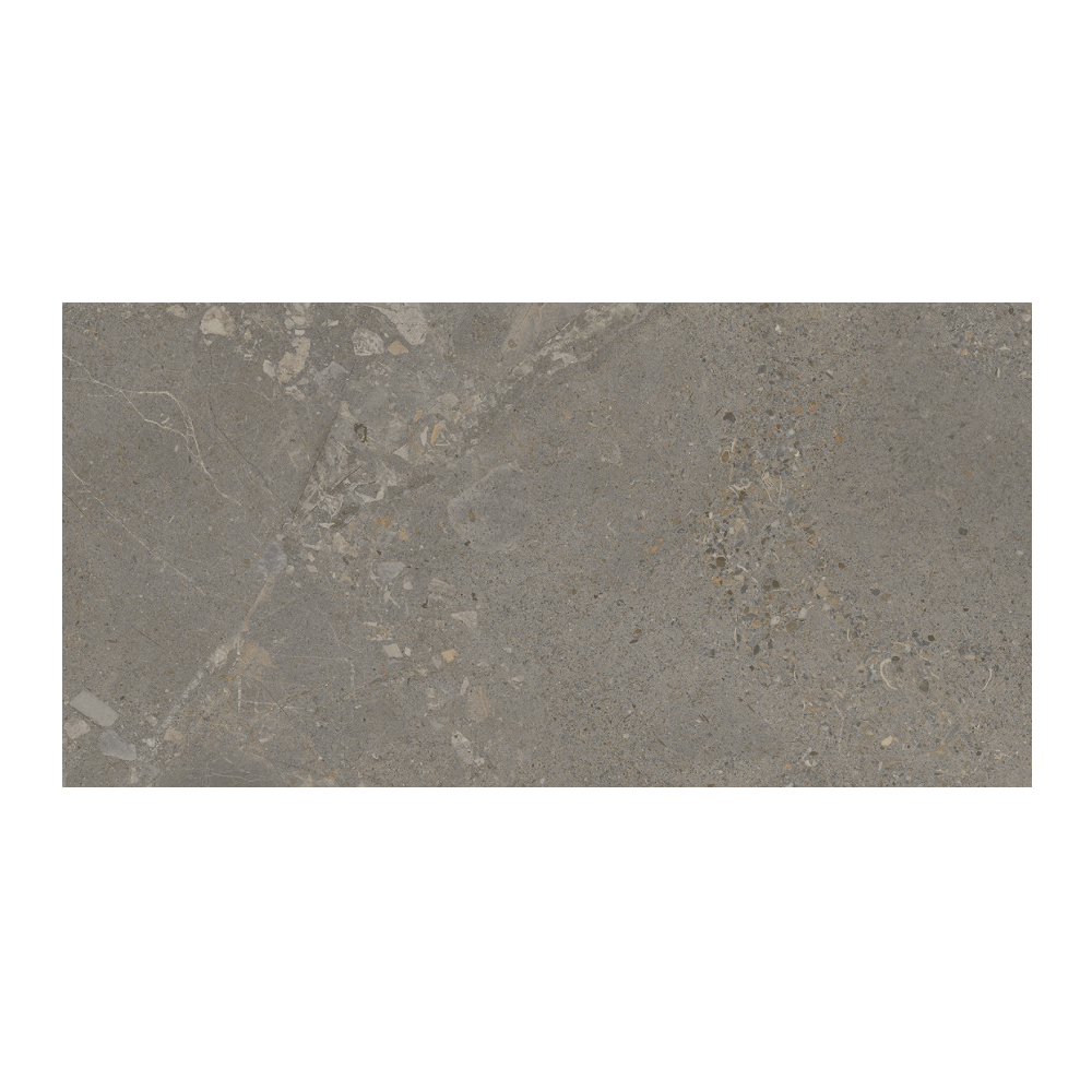 Moondance - T-267223-MNDC-DRKGY-FT-12X24-M