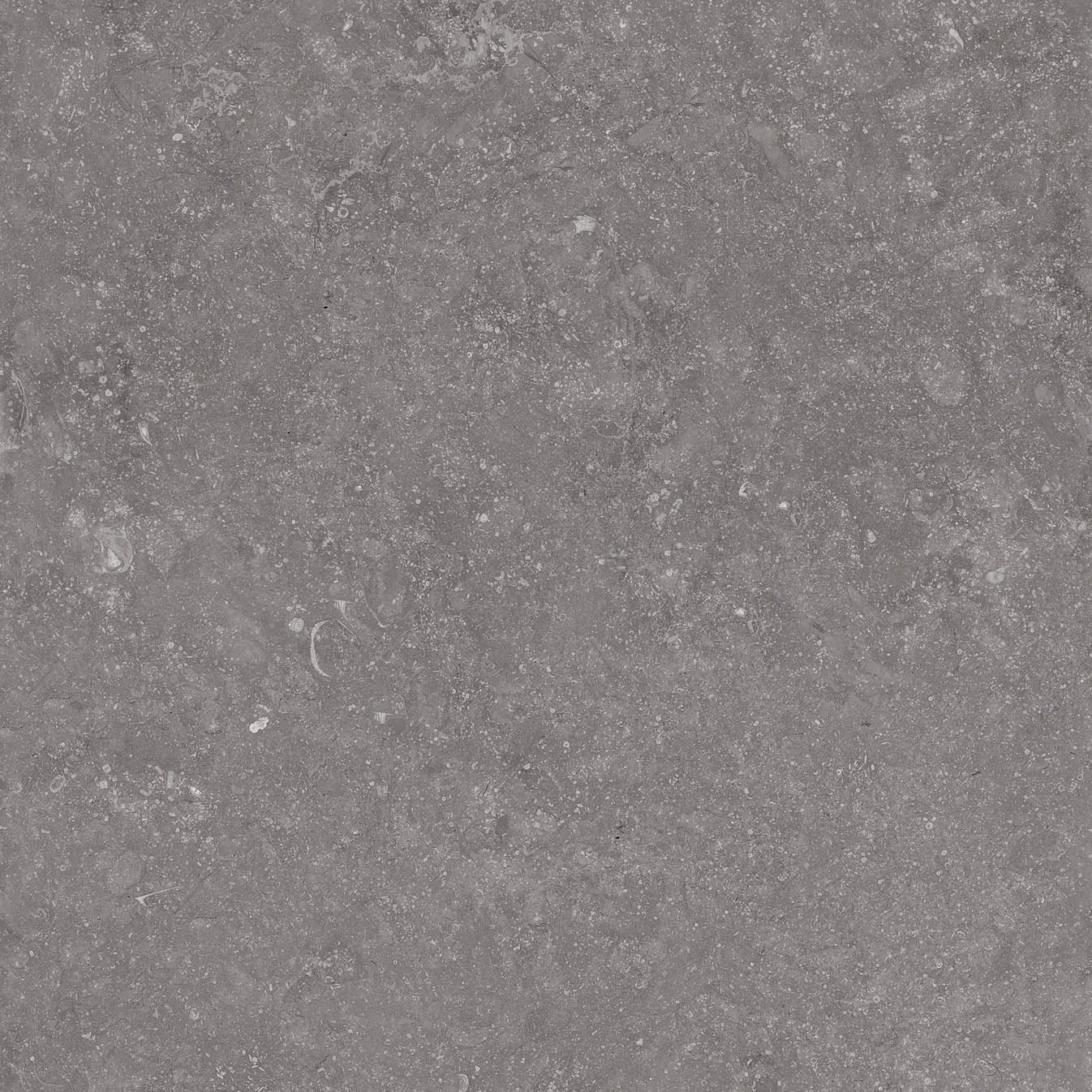 Beljn - T-2922-BJN-BJN04-FT-12X24-UPS