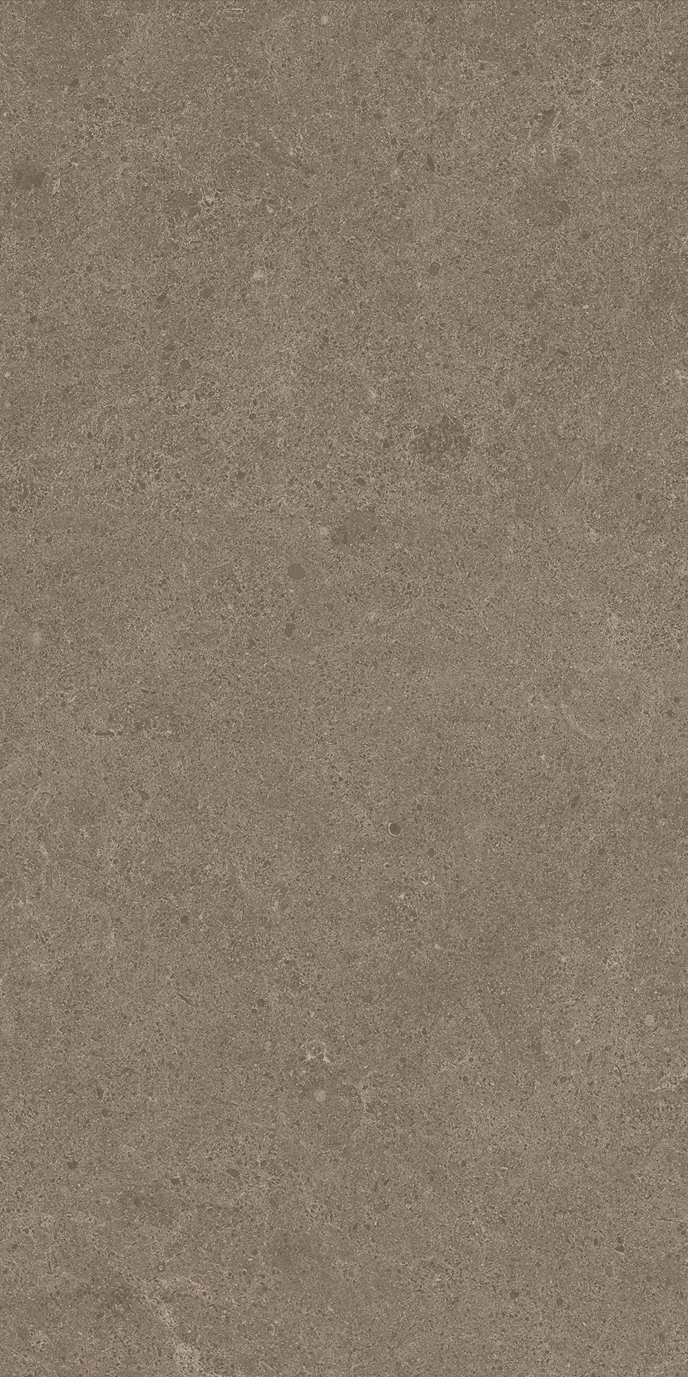 Argent 2.0 - T-2922-ARG2-ARG18-FT-12X12-UPS