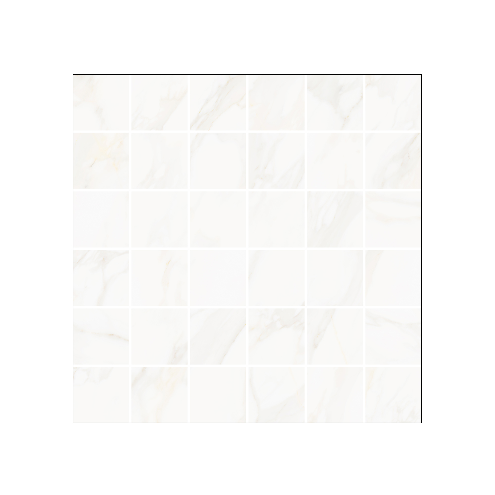 Westchester - T-VS-WSCH-ALPE-FT-MOS2X2-POL