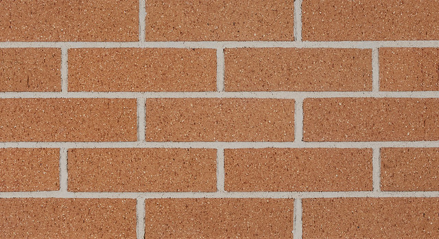 Product image for PAGO VELOUR