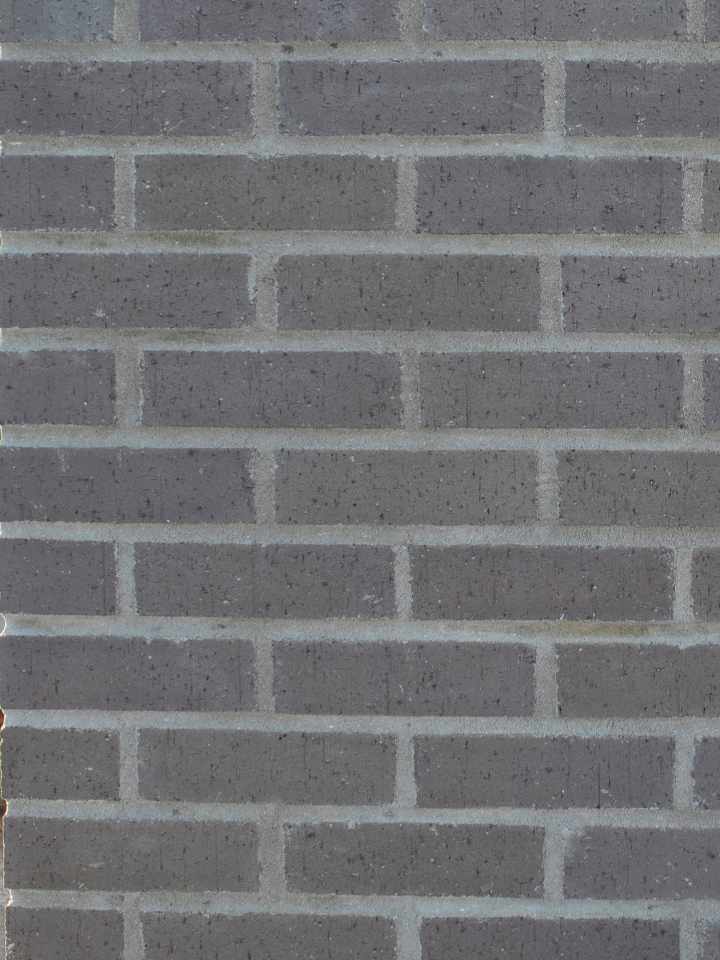 Product image for Titan