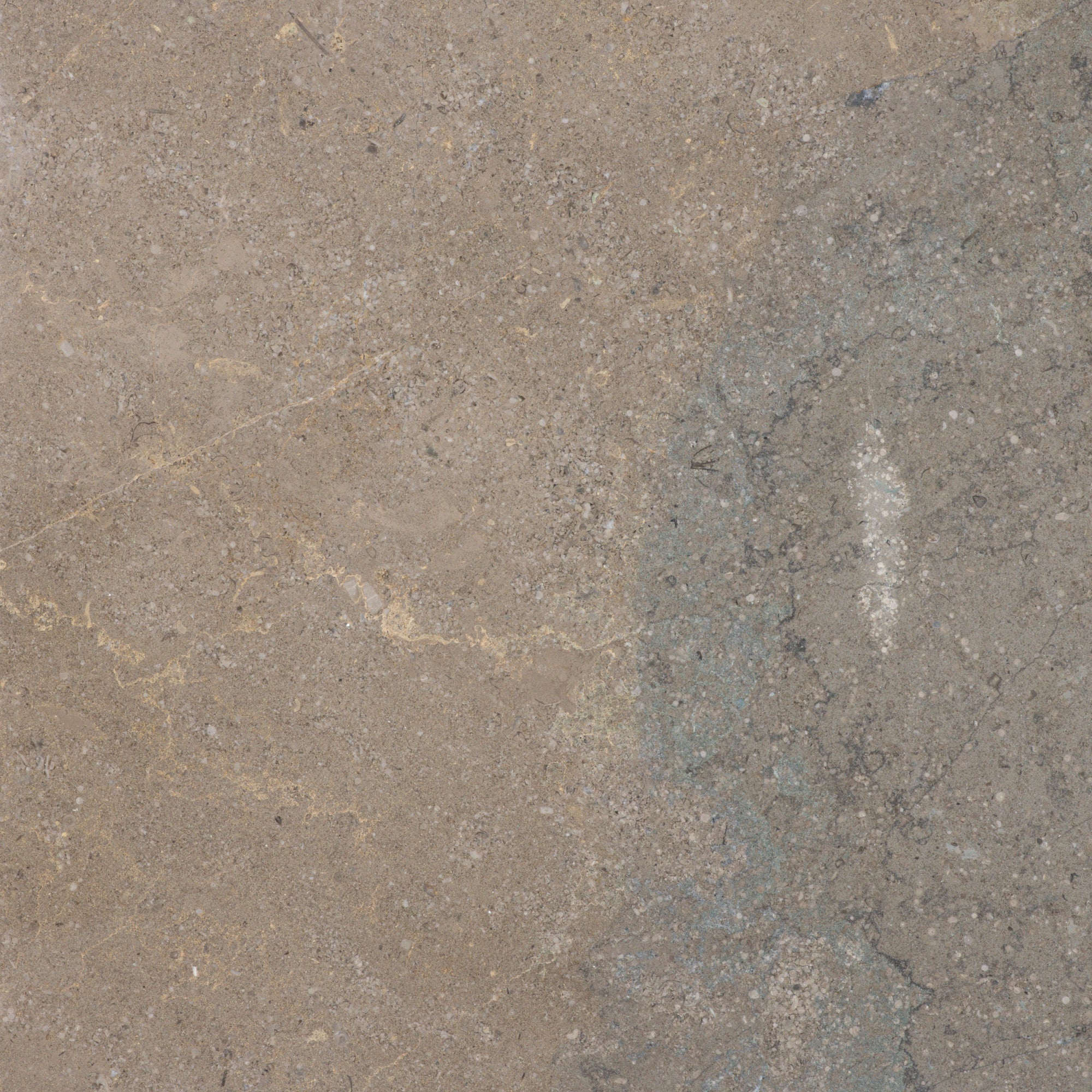 Portobello - T-279219-HAC-PRTO-FT-18X18-HNDAE