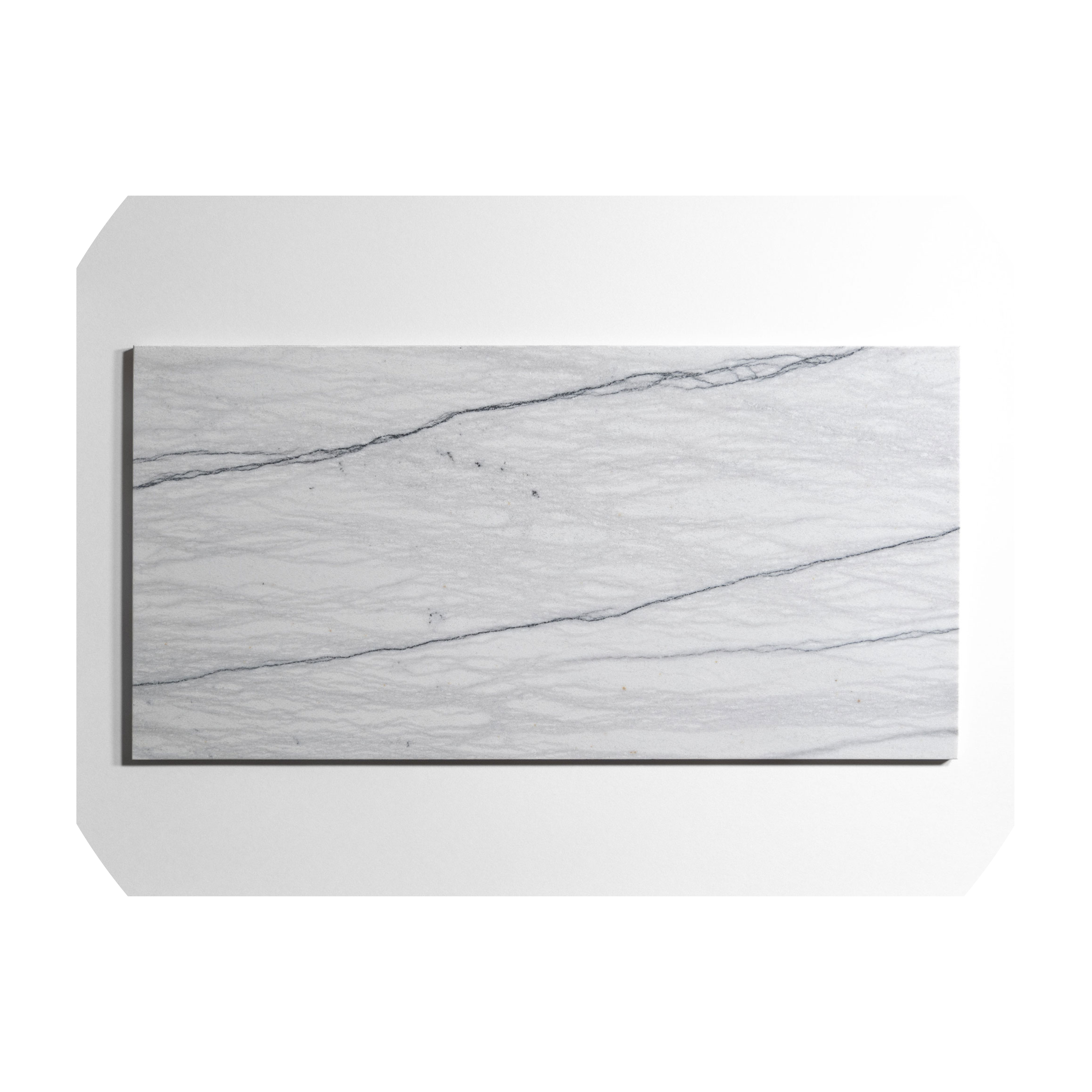 Silver Mist - T-2838-X-SM-FT-12X24-HNDBEV