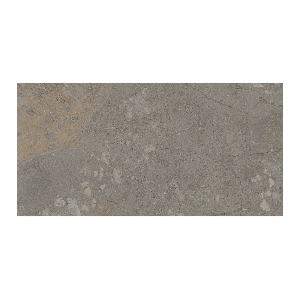 Moondance - T-267223-MNDC-DRKGY-FT-12X24-M