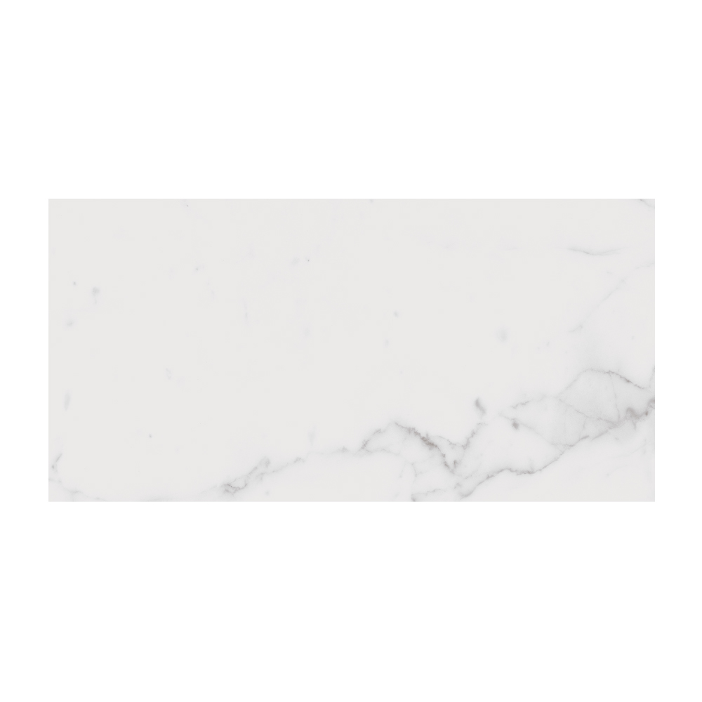 T-267223-LXEN-STAT-FT-12X24-LUX