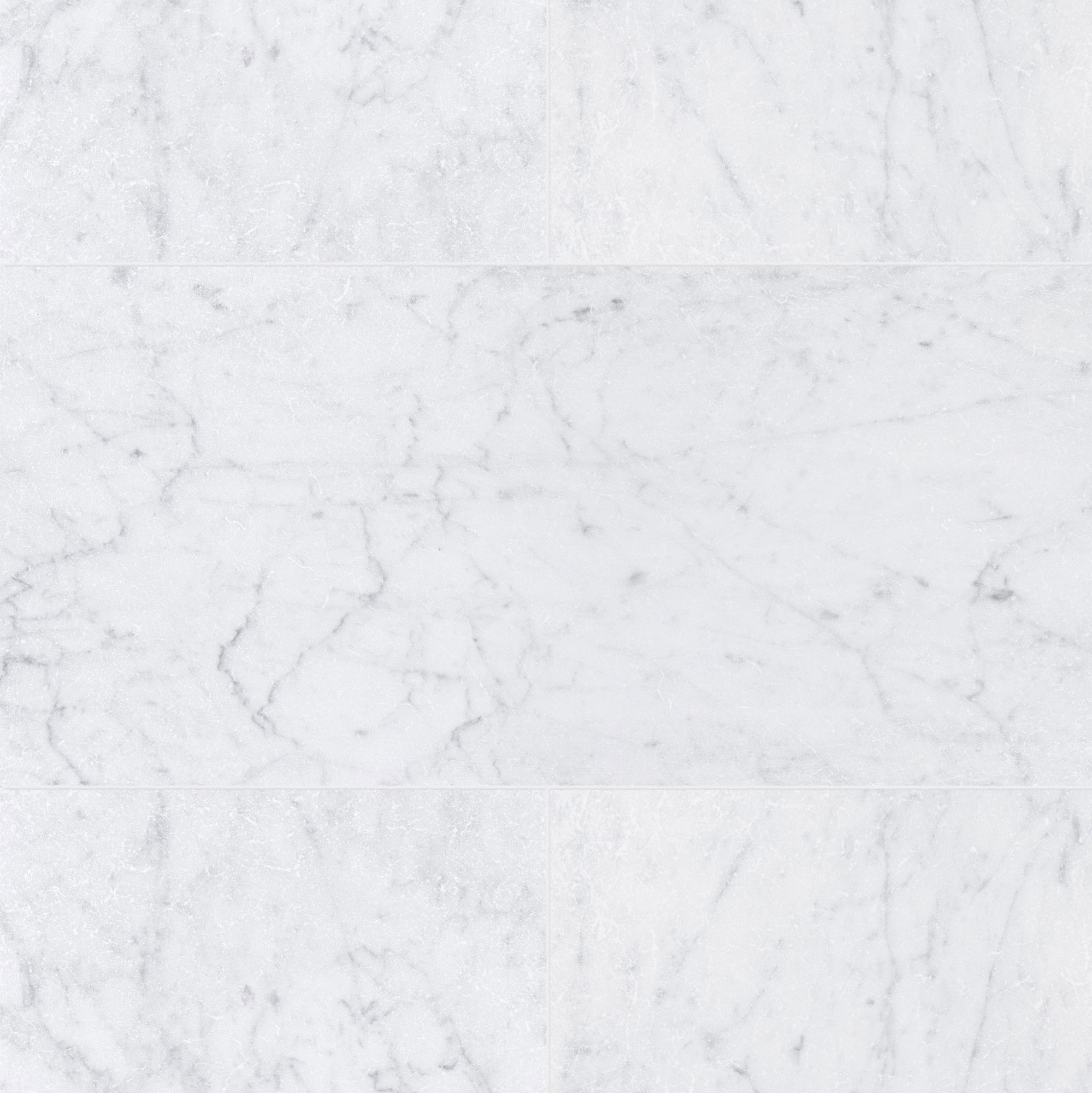 T-279219-WHM-BICA-FT-12X24-T