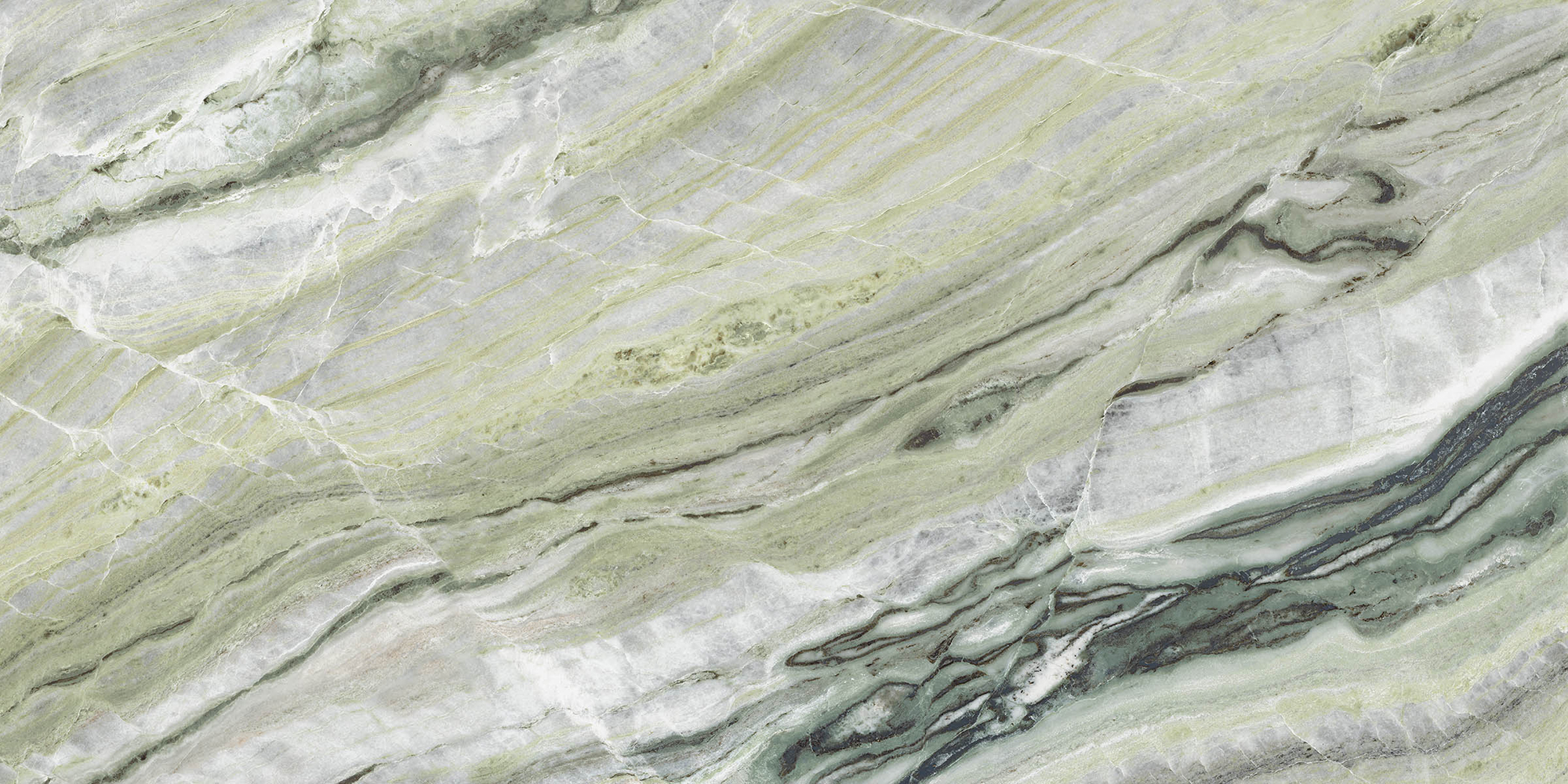 Aesthetica - T-2696-AEST-GOLI-WT-24X48-M