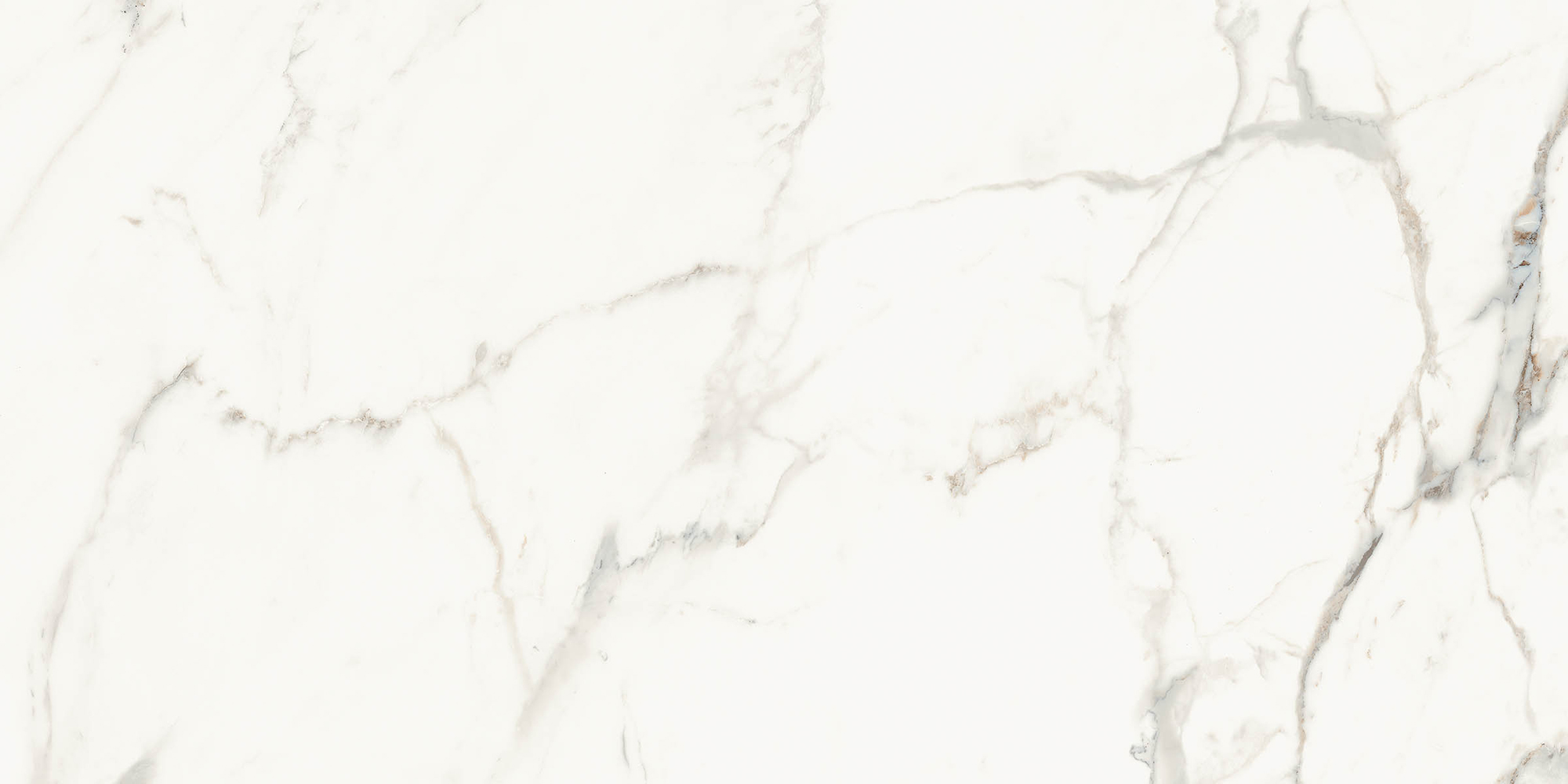 Aesthetica - T-2696-AEST-BCPR-WT-24X48-POL6.5MM