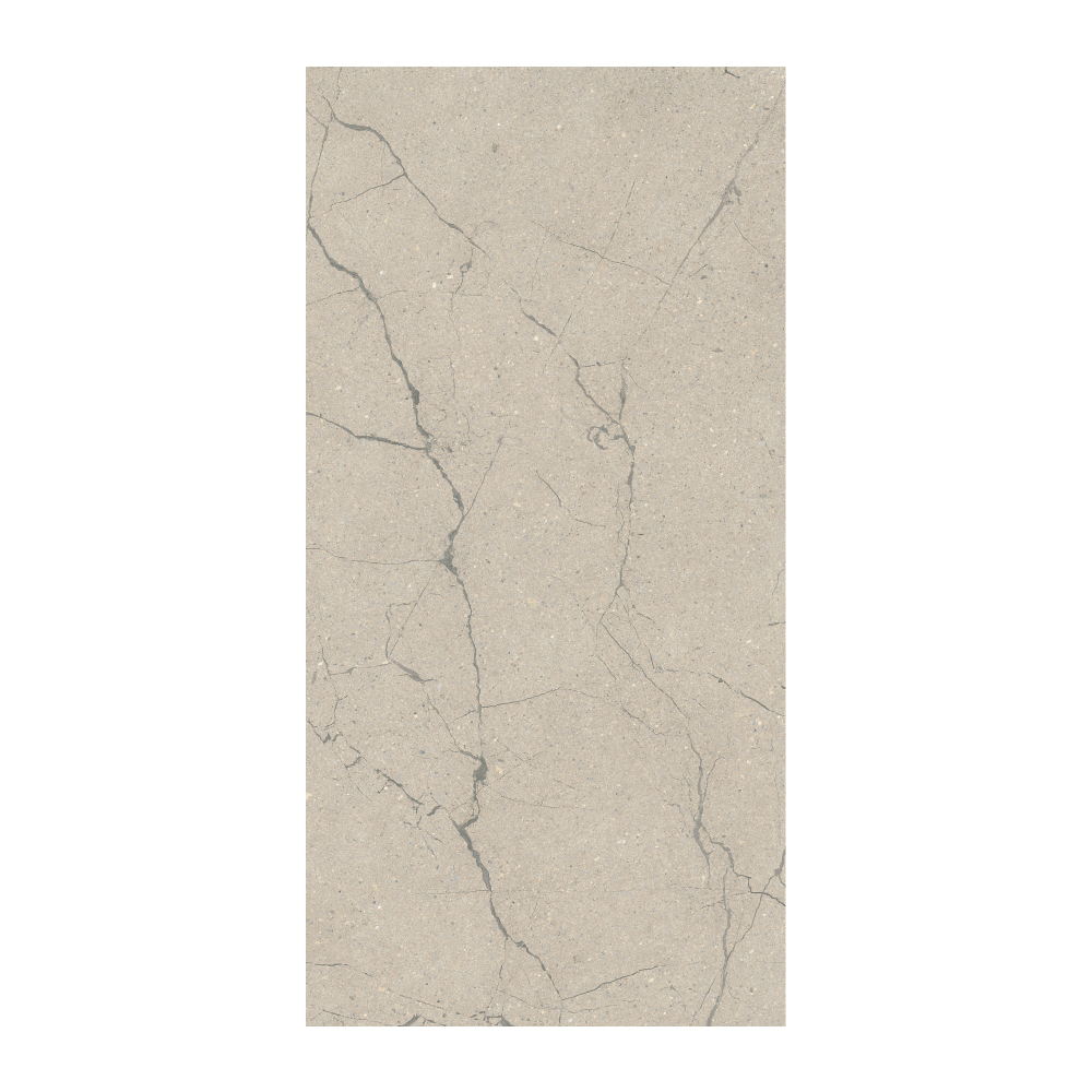 Sociale - T-2922-SCLE-SCL01-FT-24X48-FST