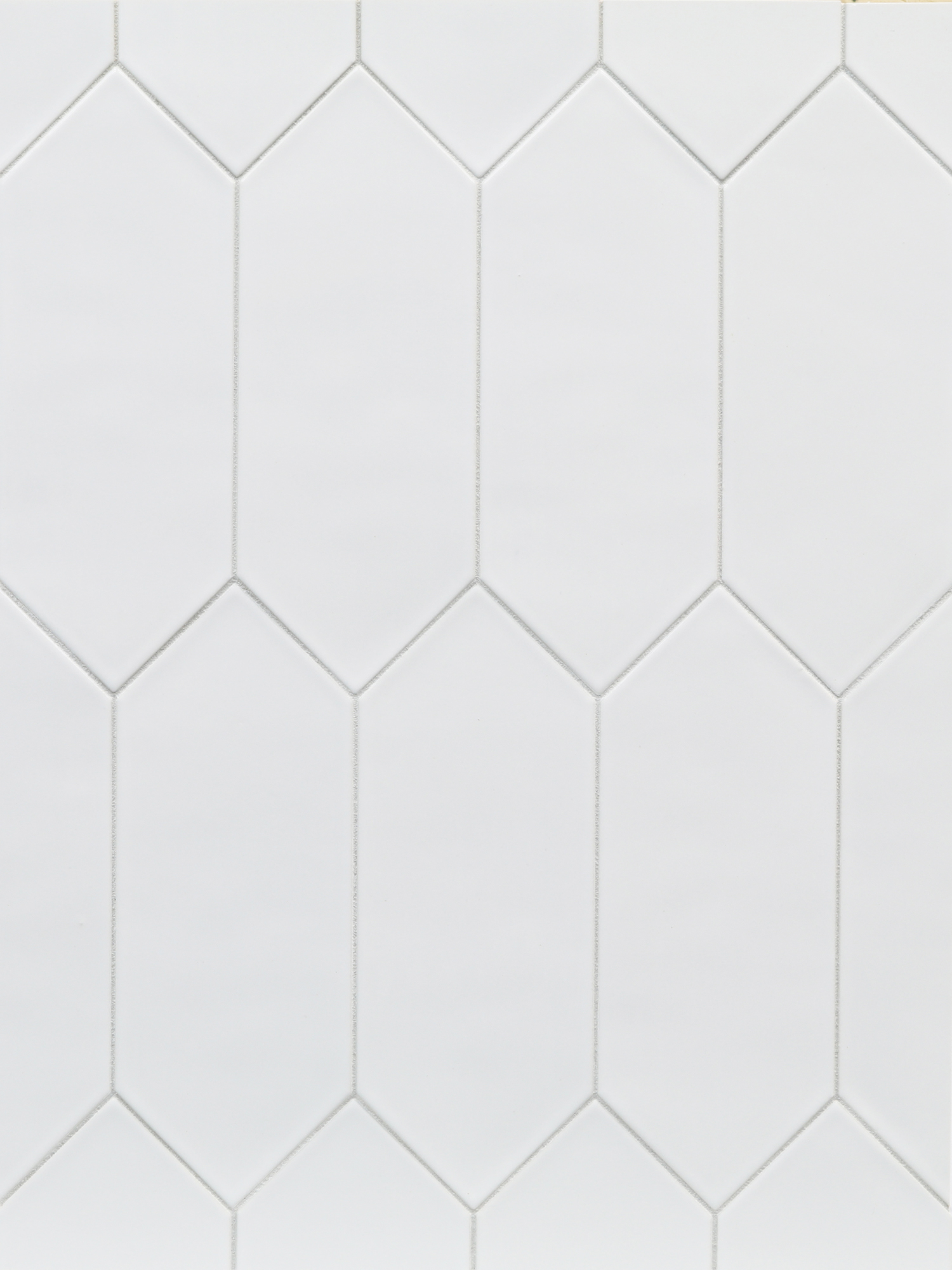 Watercolors - T-145069-WTC-WHSL-WT-DSPK