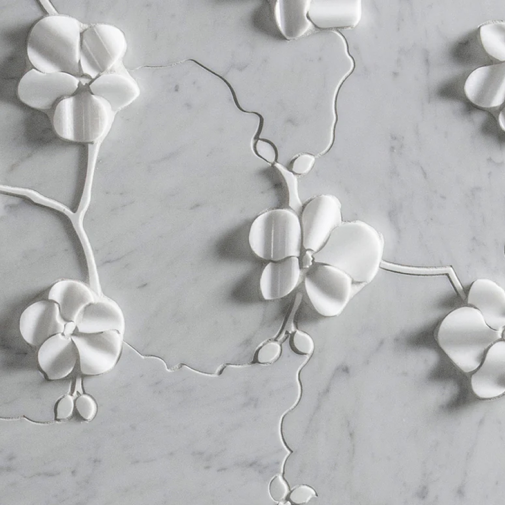 Orchid - T-279219-MASOD-BICA-MOSWJ-20TTSTX24Q-POL