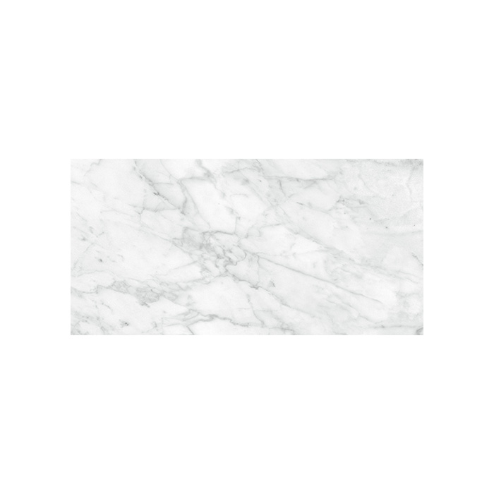 Plata - T-67437-PLTA-CRRAB-FT-12X24-POLR