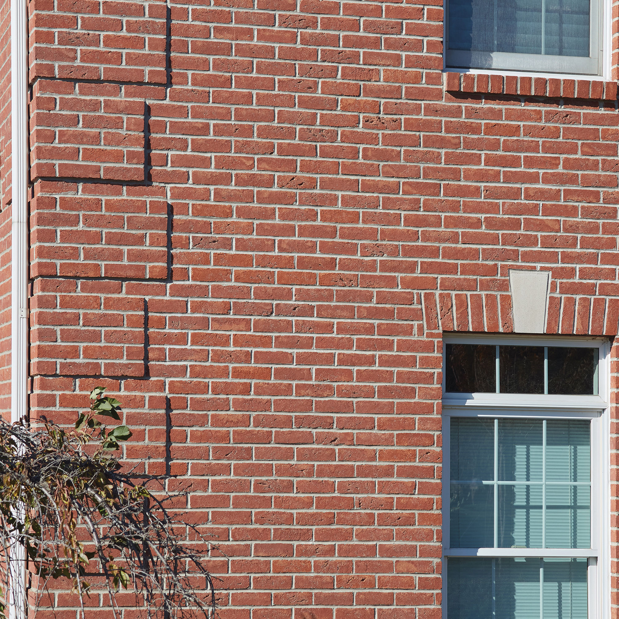 ROSEWOOD CLEAR JUMBO