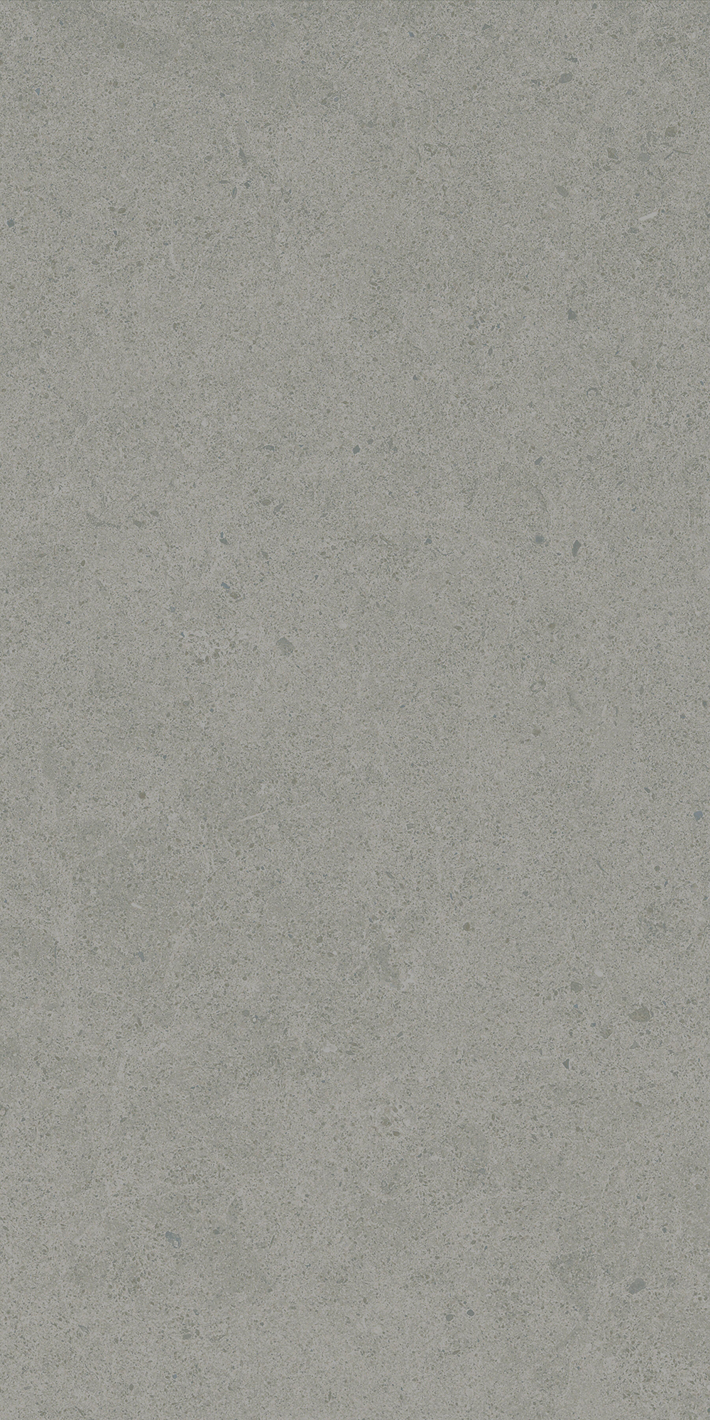 Argent 2.0 - T-2922-ARG2-ARG33-FT-12X24-UPS